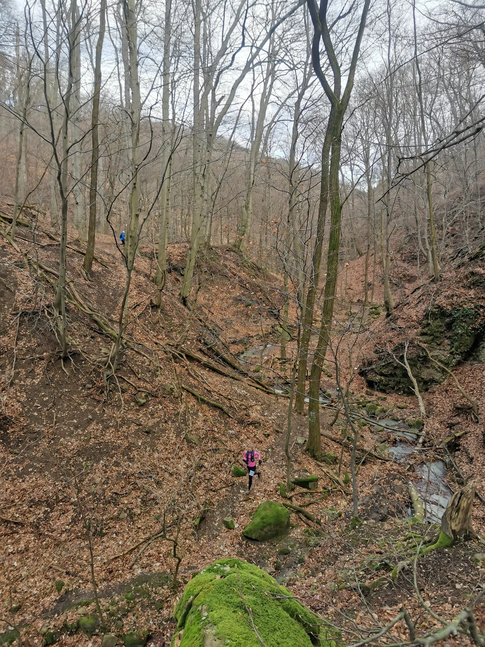 IMG_20240127_104447.jpg