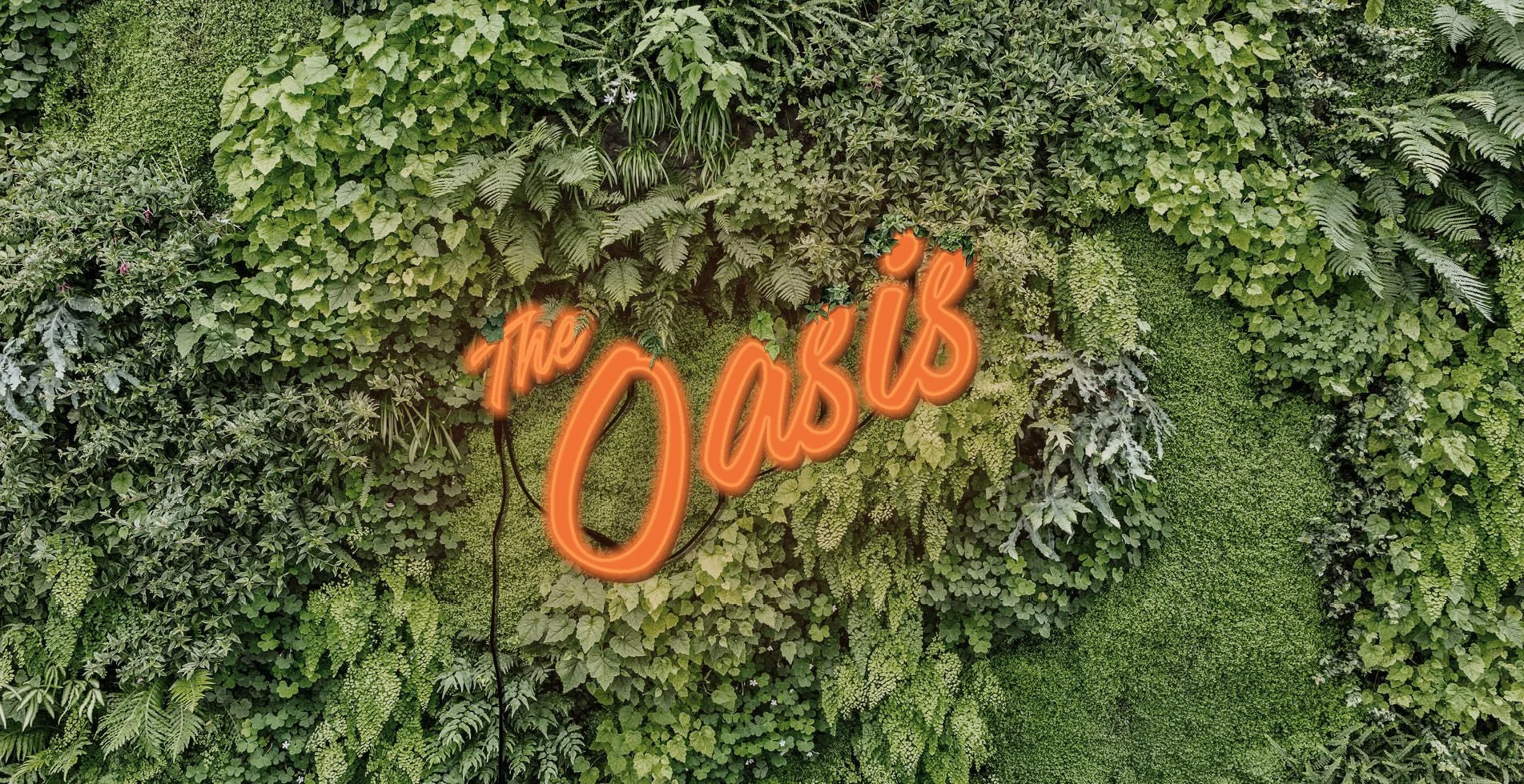 NEON sign living wall_glow.jpg