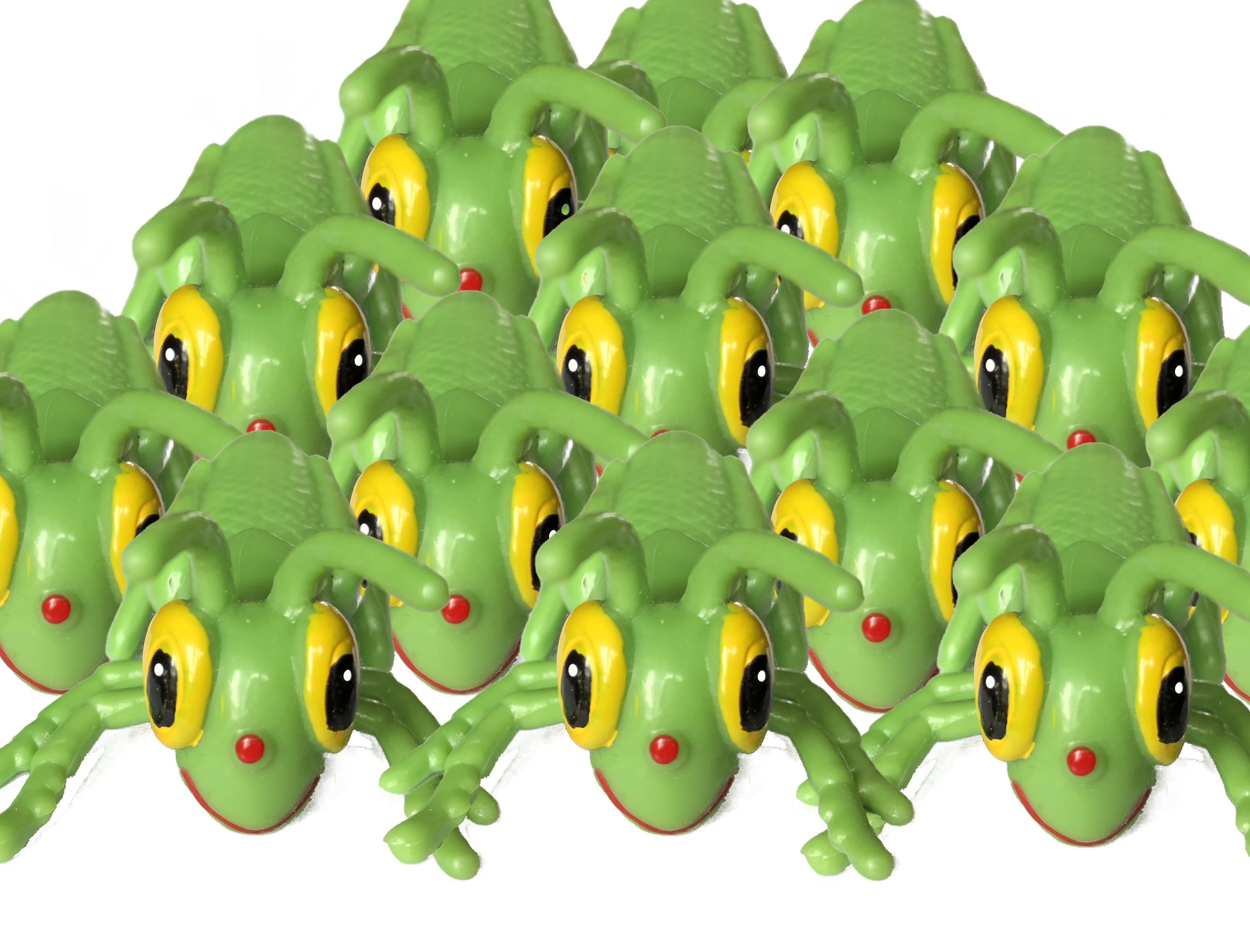 lots of crickets.jpg