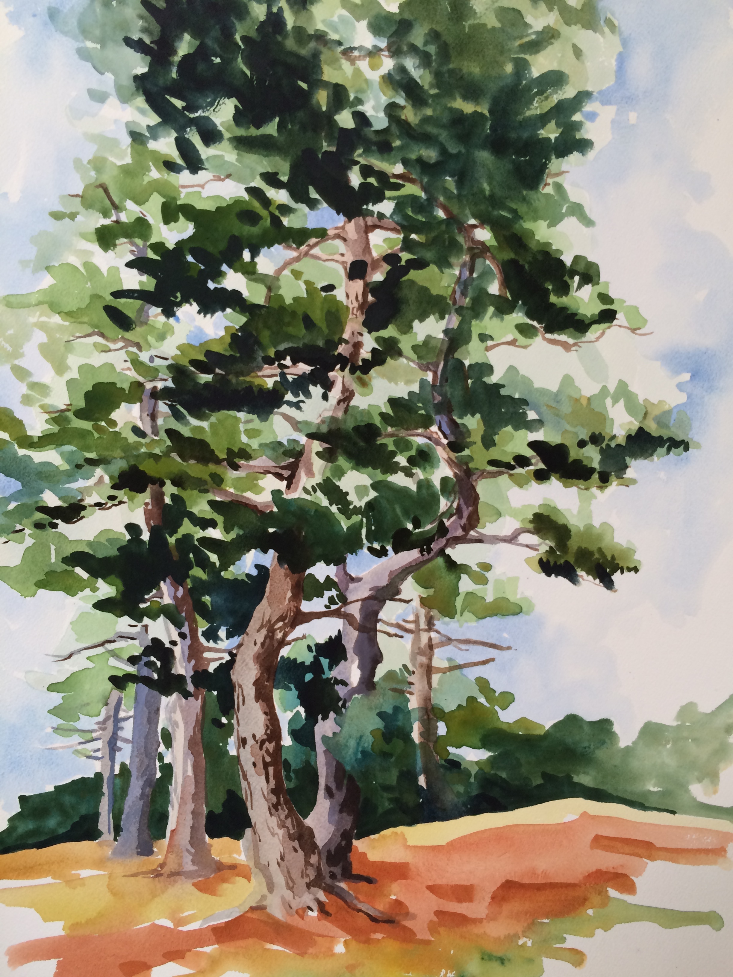 Pine Grove, New England