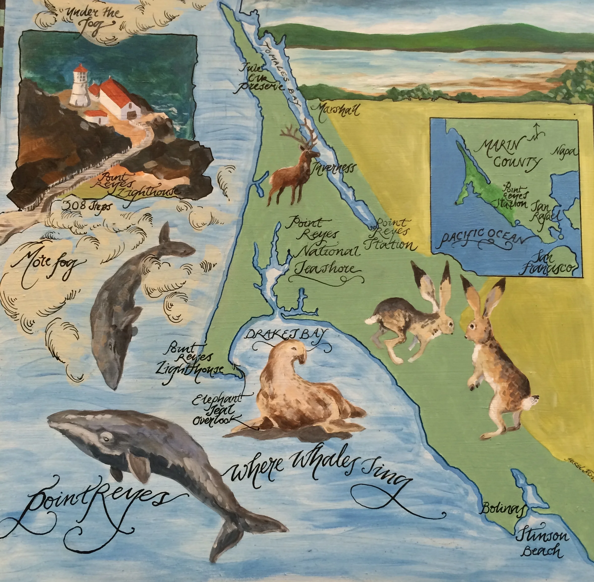 "Where Whales Sing"  Point Reyes, Californina