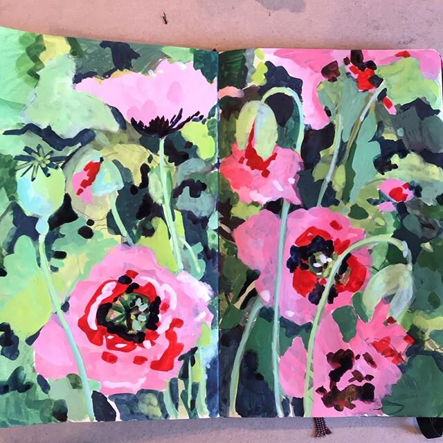 Poppy studies, after yesterday&rsquo;s lovely sketching at the Greenwich Botanical Center with @therealginnyrowan . The poppies are gorgeous, I got some lovely scented geraniums at the greenhouse and the center is just so green and beautiful at the m