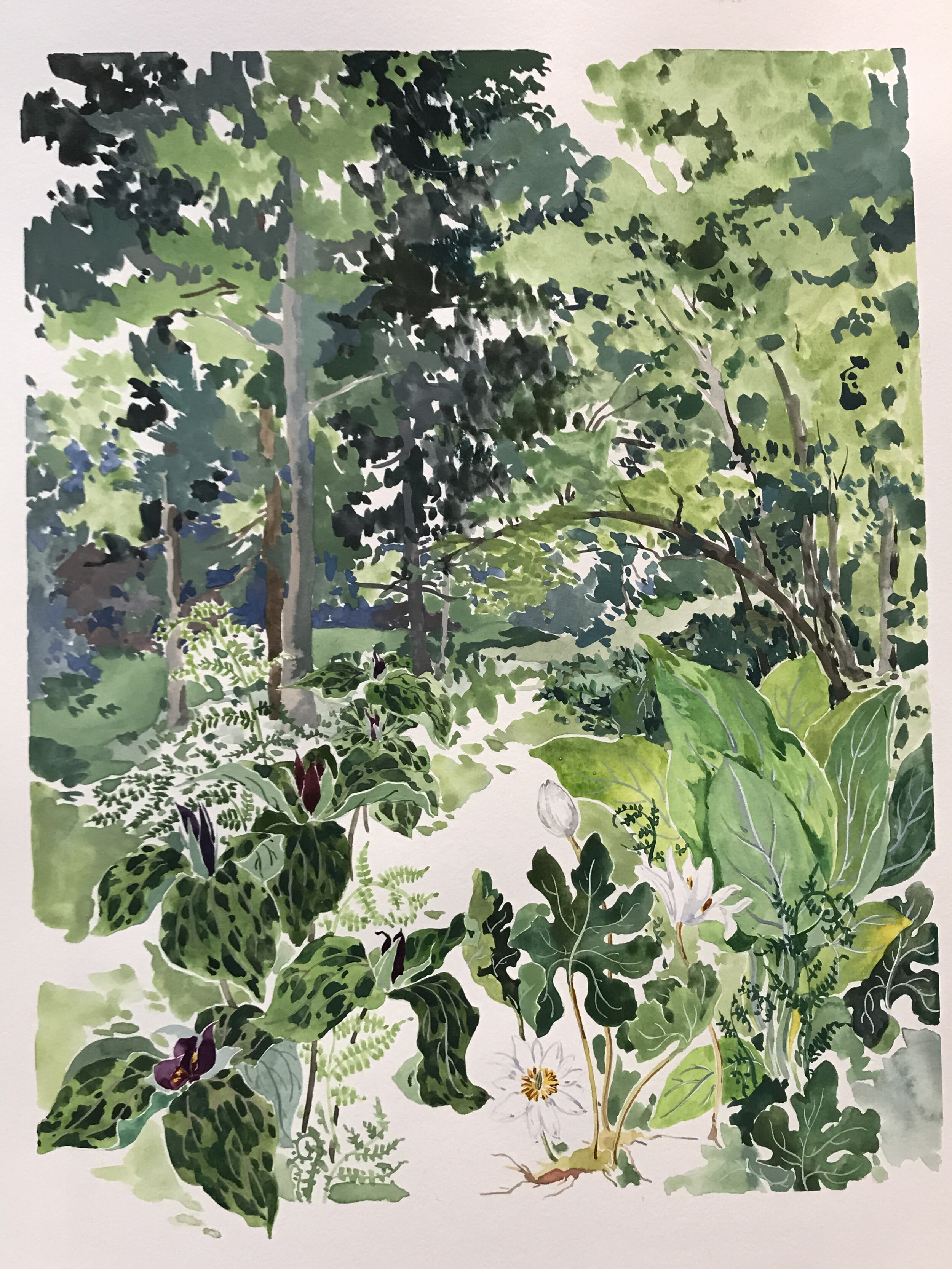 In the Woods