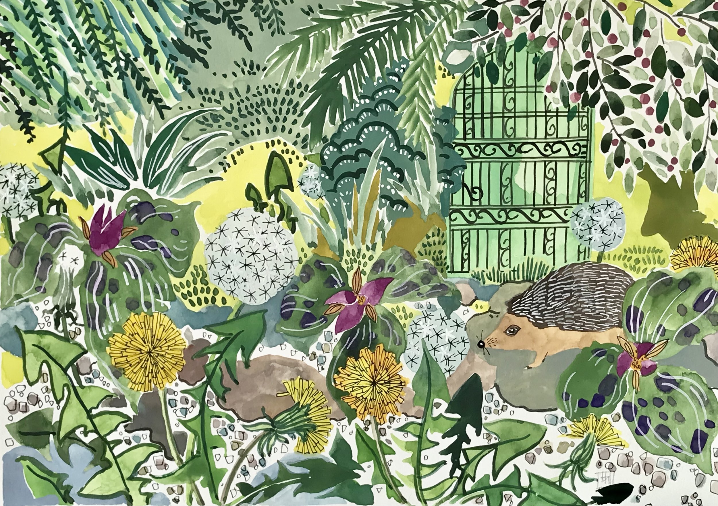 Hedgehog in the Garden