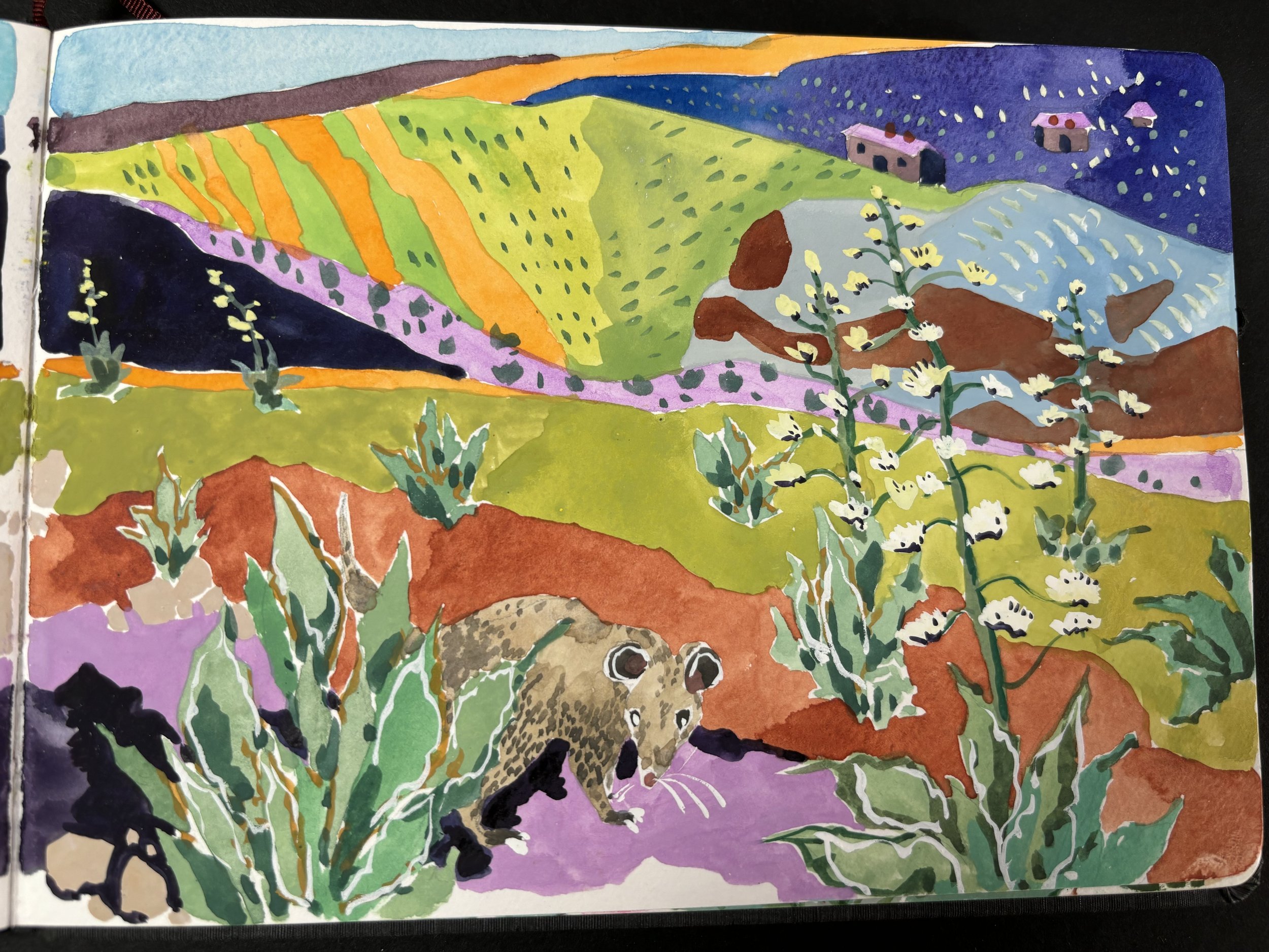 Detail showing a possum sniffing an Agave plant.