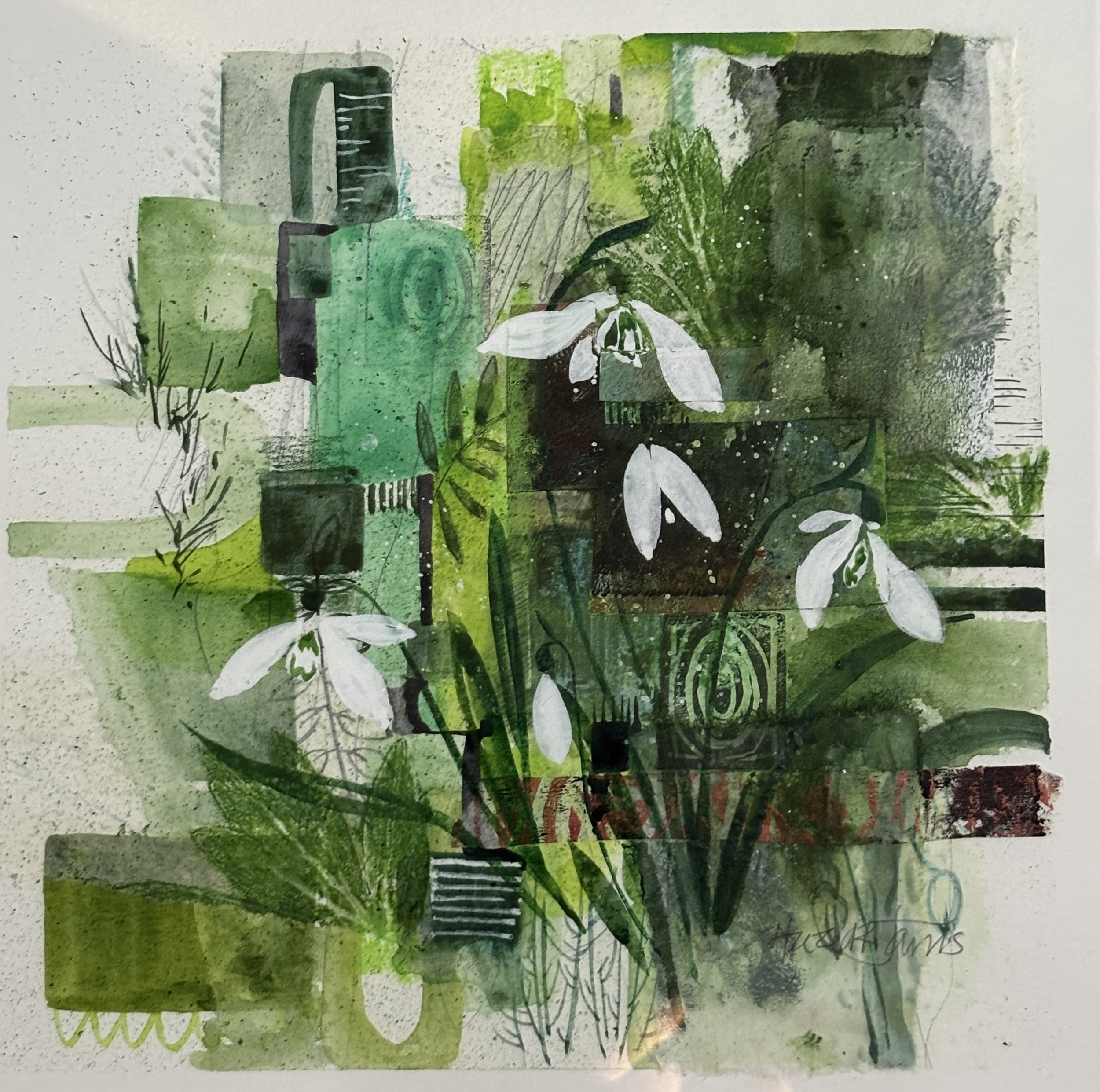 Snowdrops
