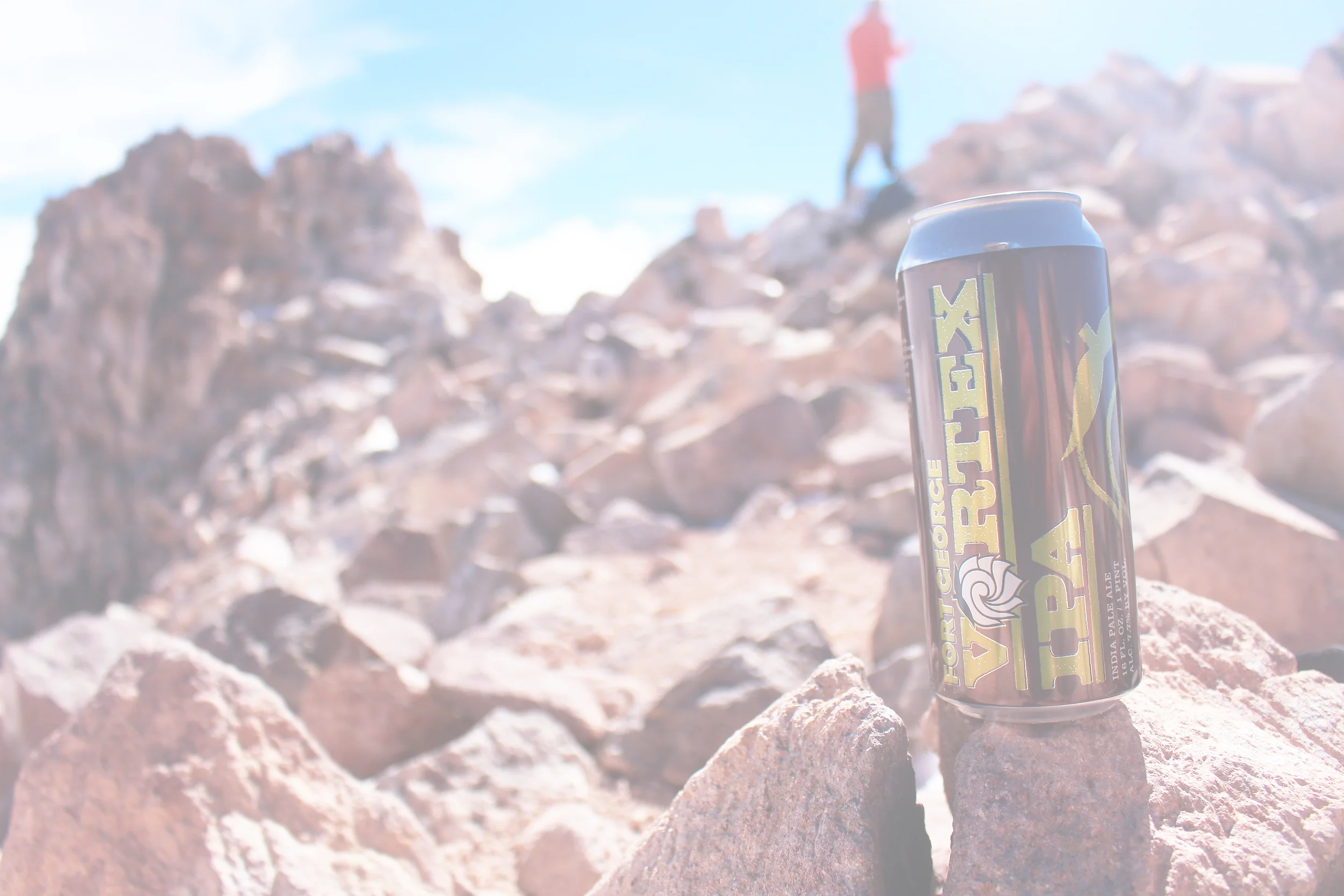 ipa on shasta copy.jpg