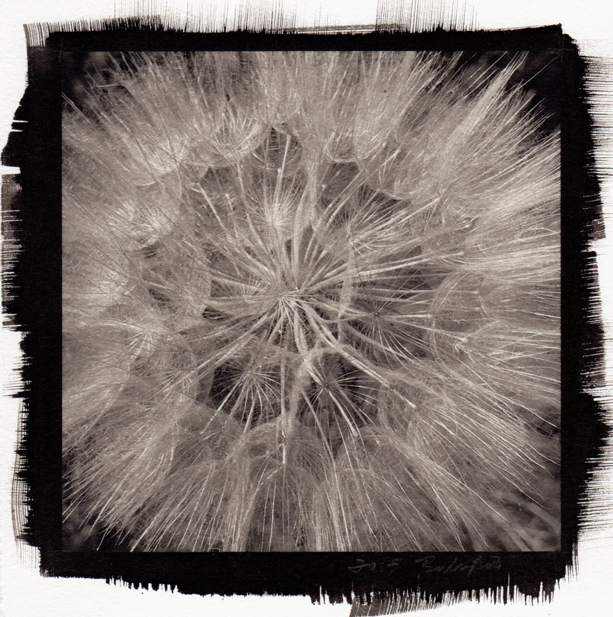 Dandelion Sphere-Pt/Pd