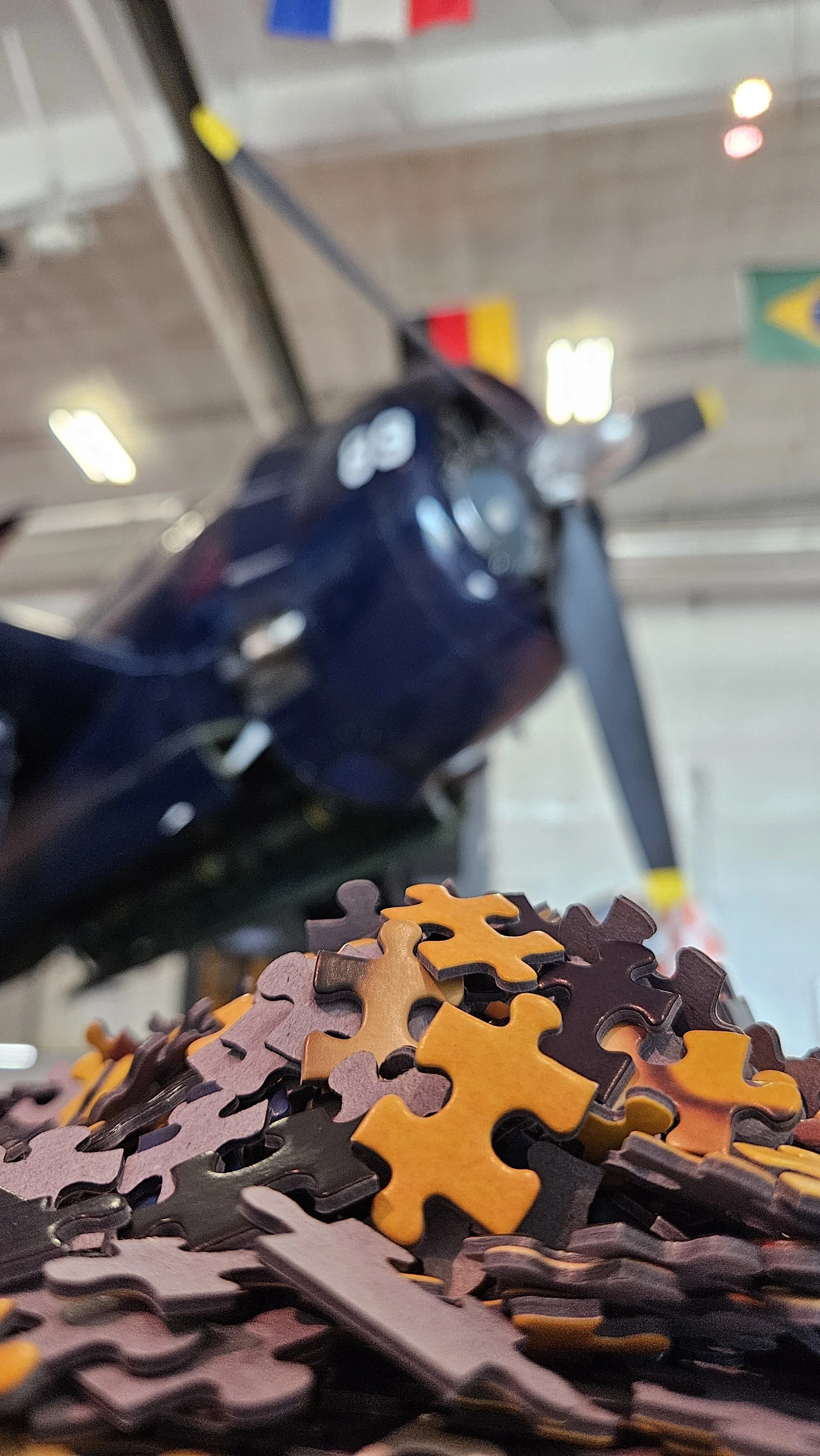 Puzzles, Pizzas, and Planes