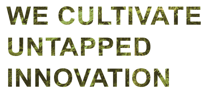 ServiceTitleInnovation.png