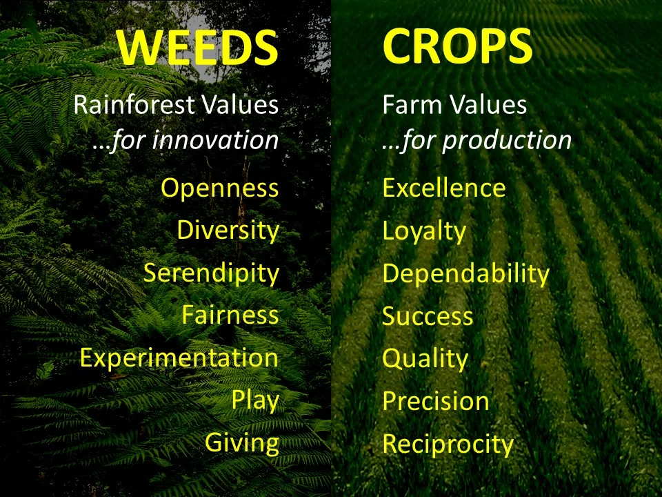 13 values.jpg
