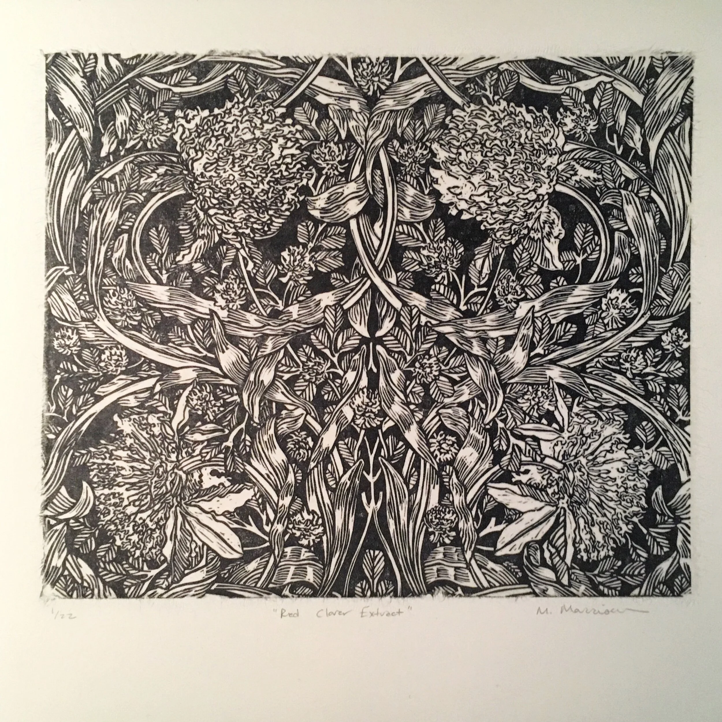   Red Clover Extract   Relief print  11”x11”  2018 