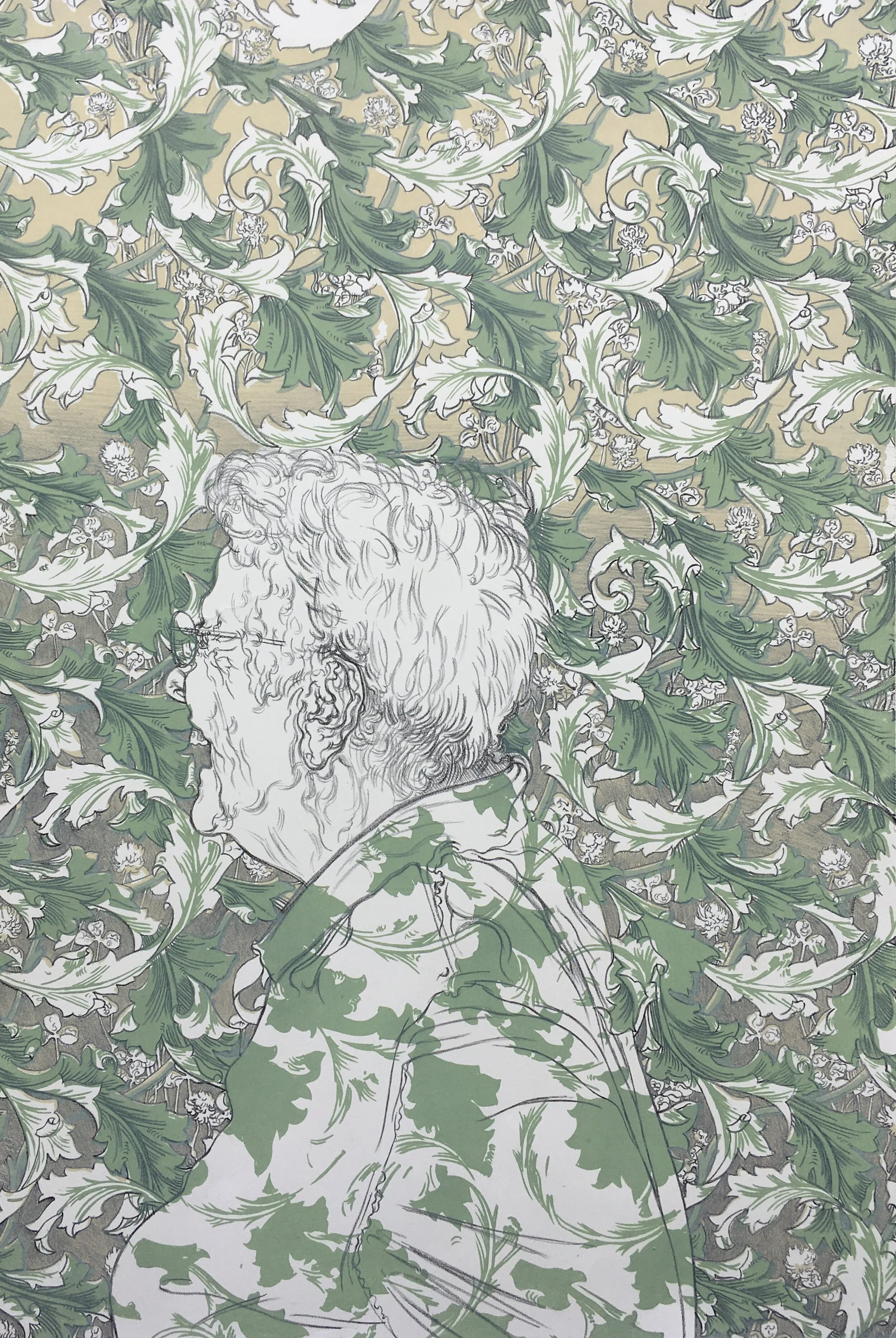   Pea Family  (Leguminosae)    Stone lithograph  24"x36"  2018 