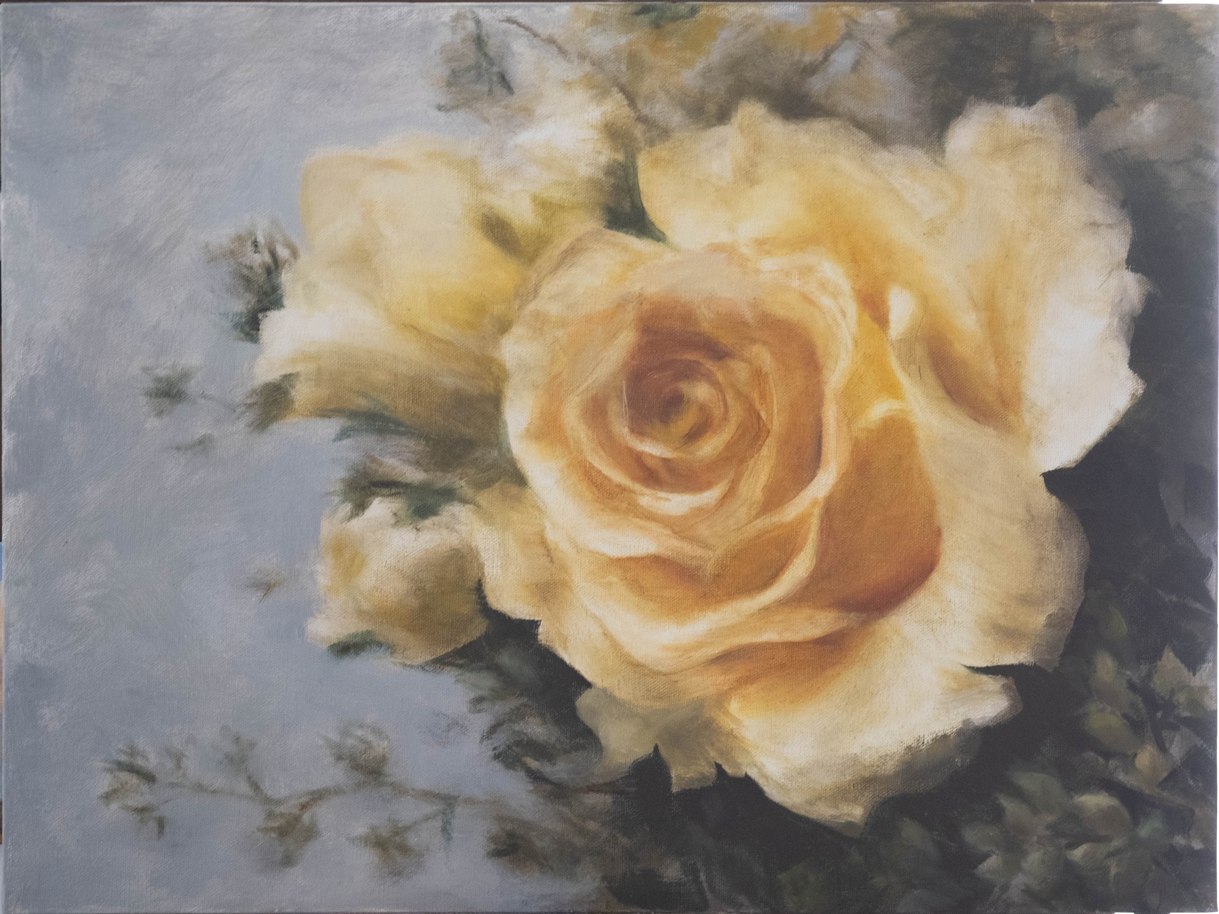 White Rose
