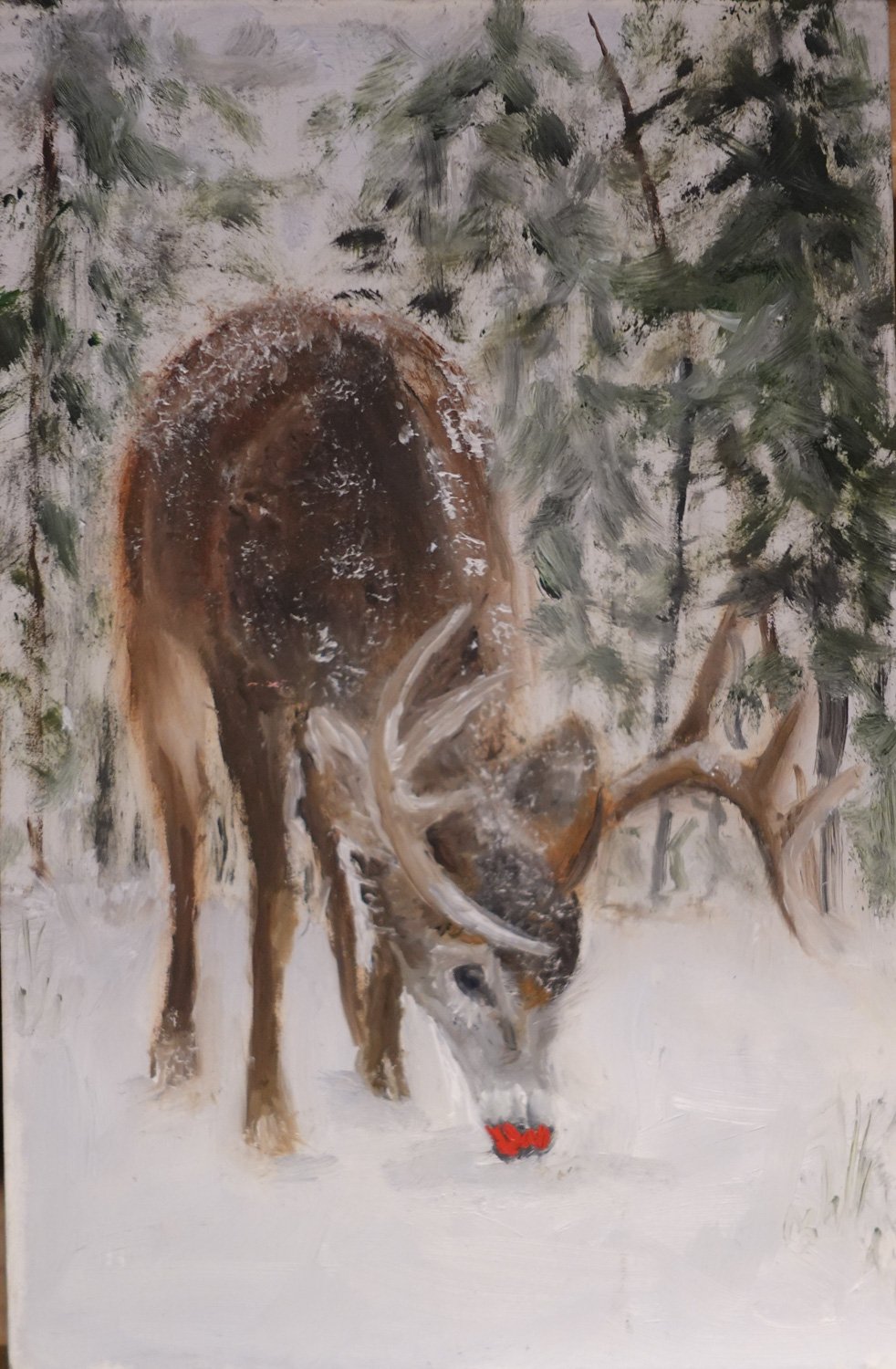 Rudolph in Snow