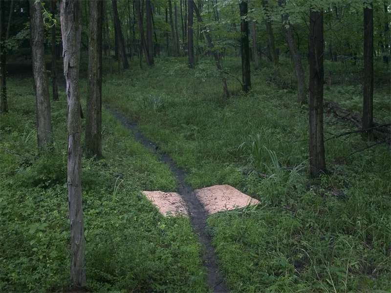 Trail_Carpet02.jpg