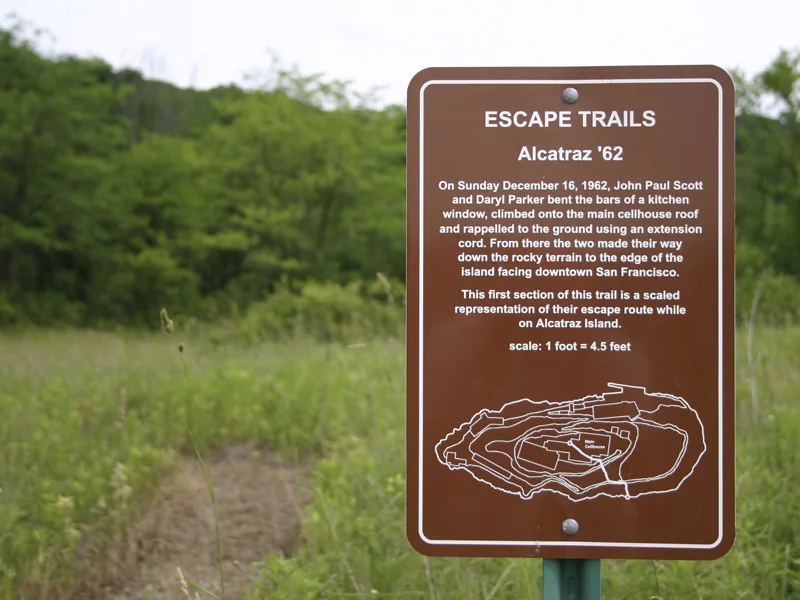 Escape_Trails11.jpg
