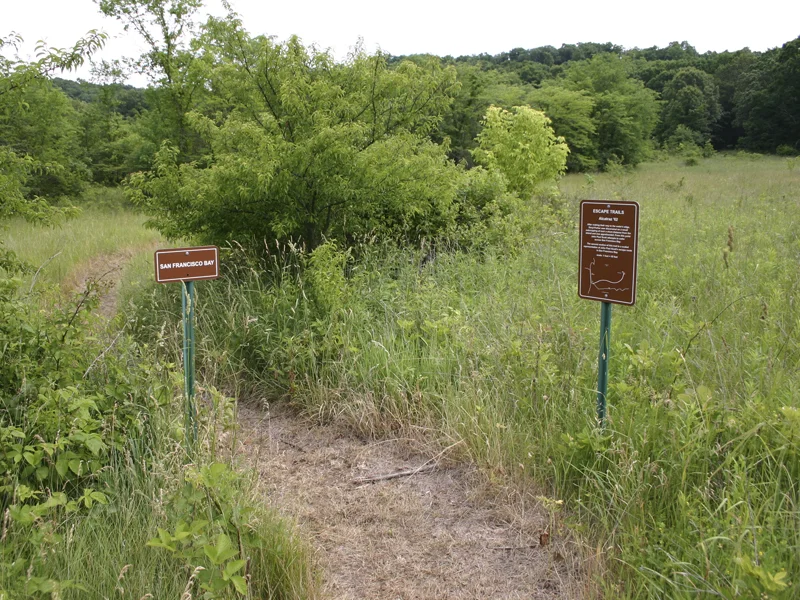 Escape_Trails14.jpg