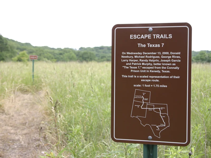 Escape_Trails05.jpg