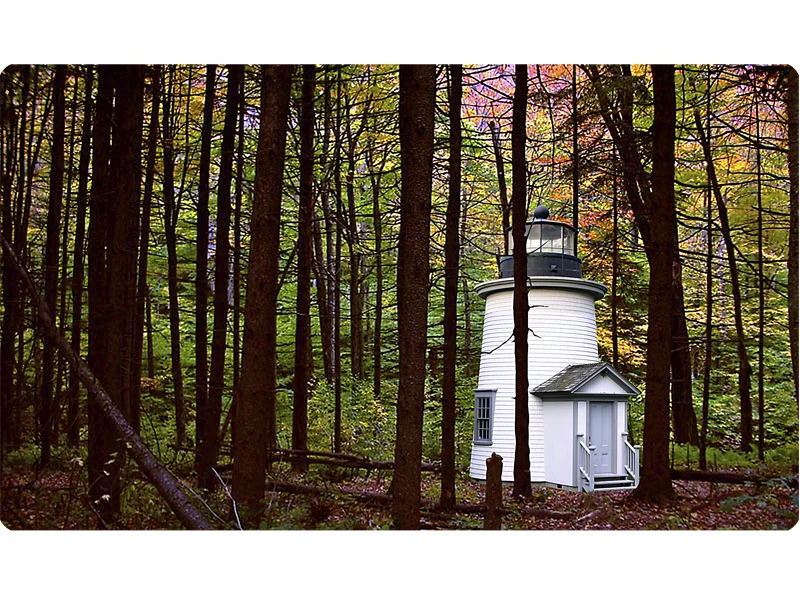 Forest_Lighthouse_Proposal05.jpg