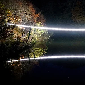 WHITE_LINE-thumbnail.jpg