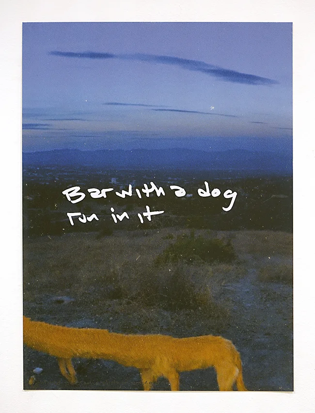 DOG_BAR-WEB.jpg