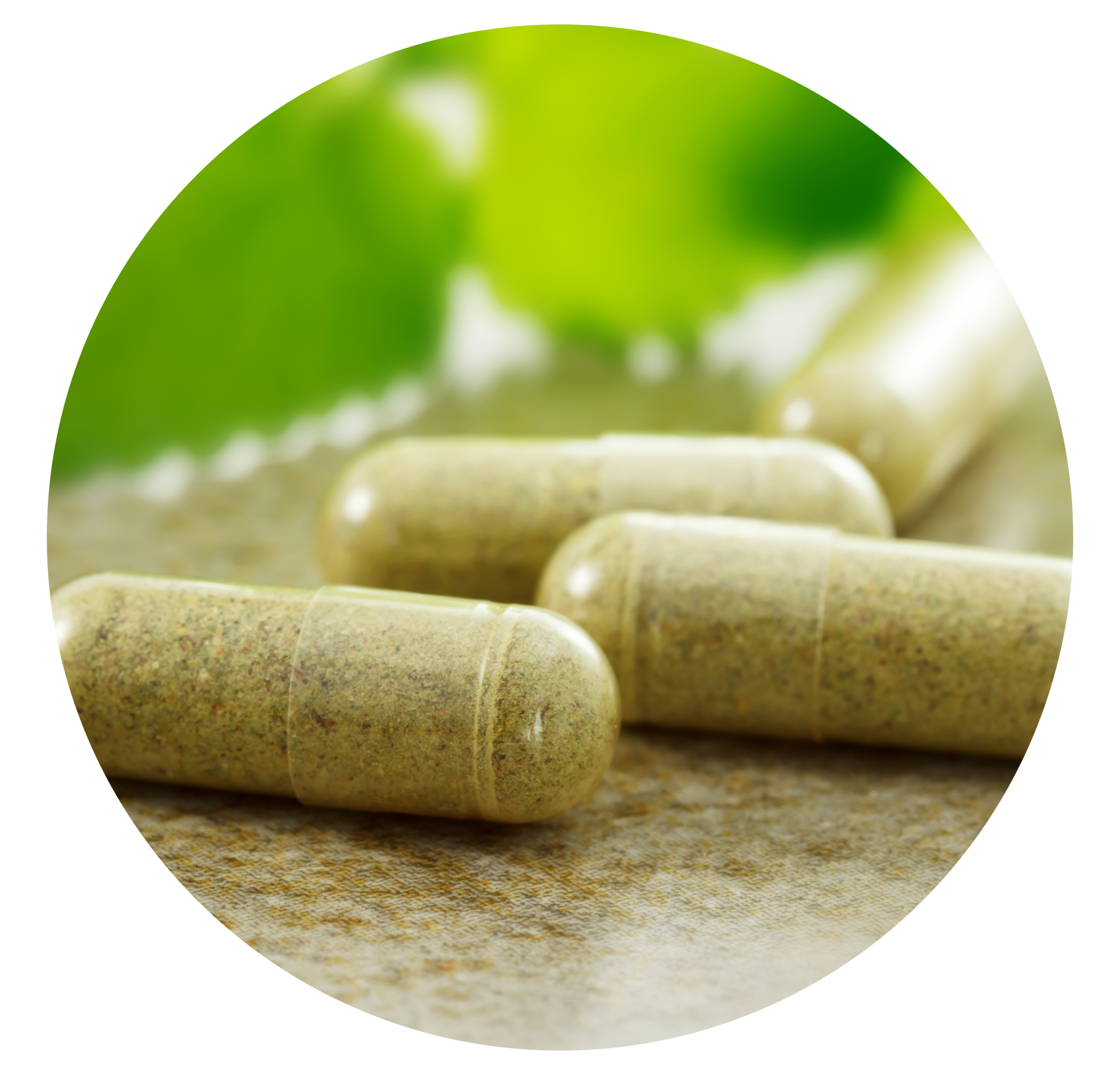 supplement.png