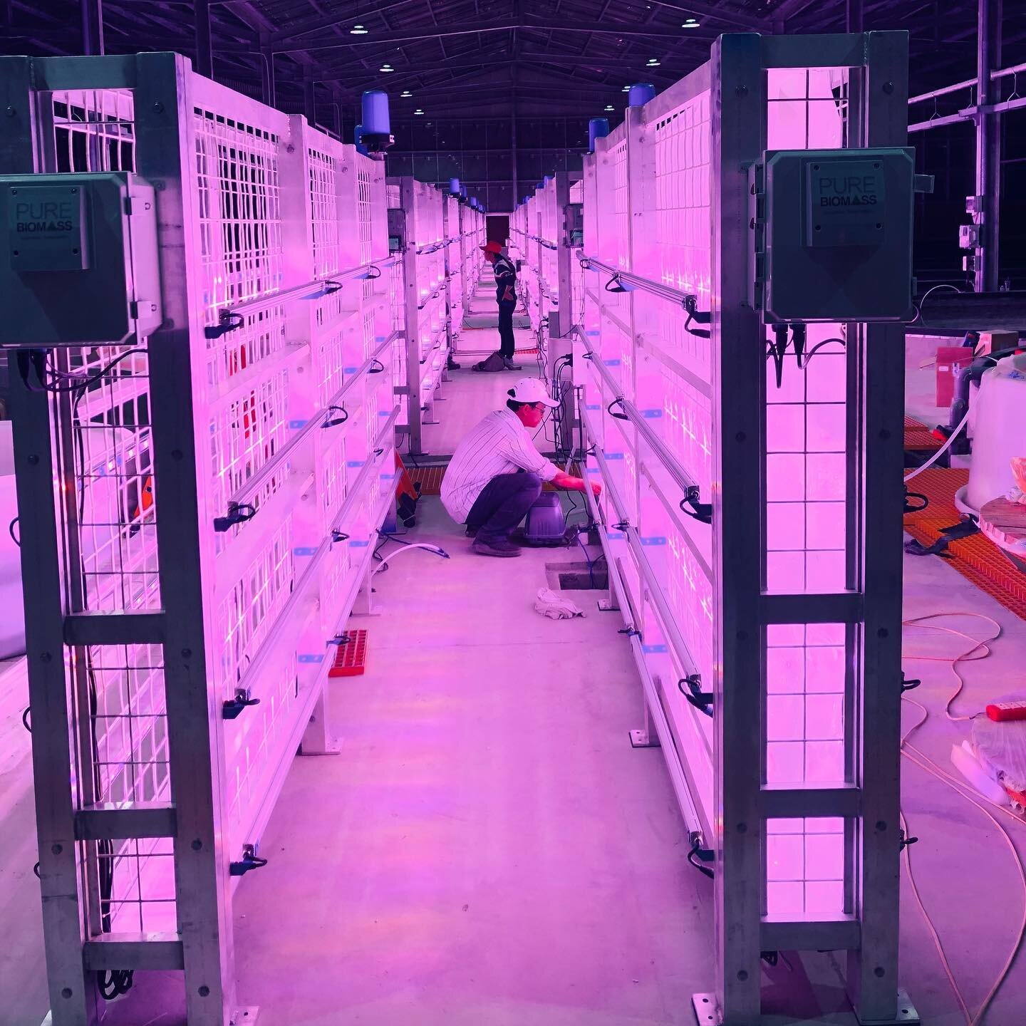 Several weeks back, before the world got turned on its head, we commissioned an array of our photo-bioreactor systems at a Vietnam facility we helped to design for large scale production of micro algae.  This state-of-the-art, solar powered facility 