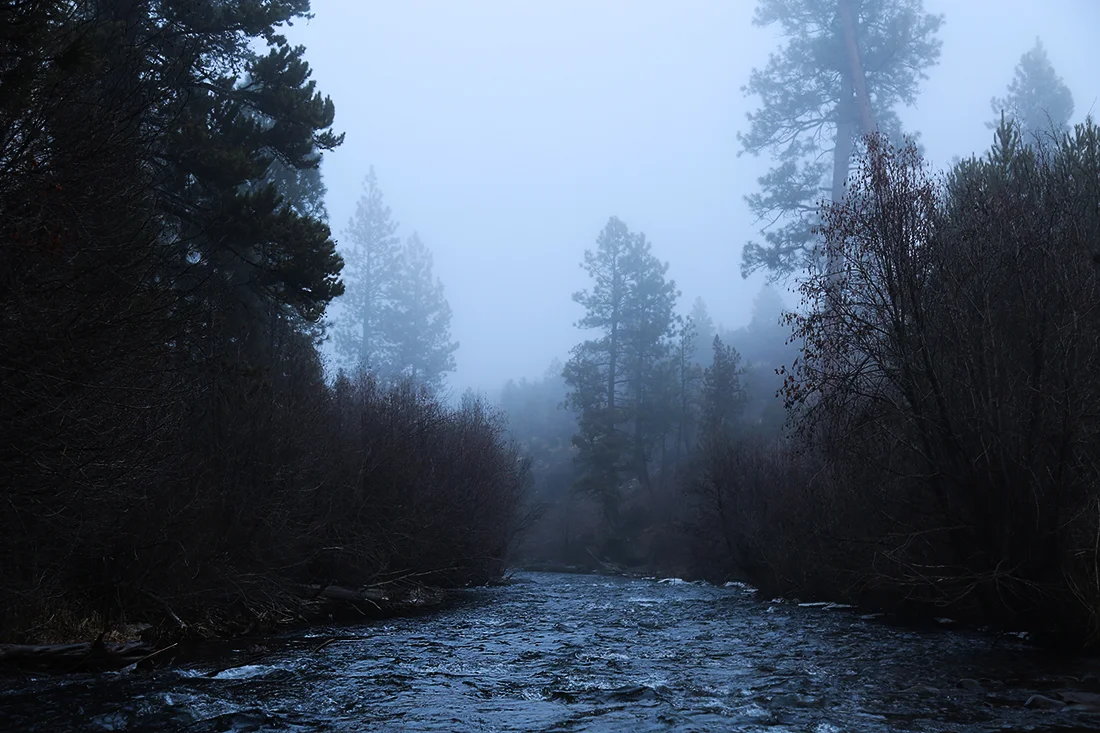 Genesis Ilada- Landscape Creek.jpg