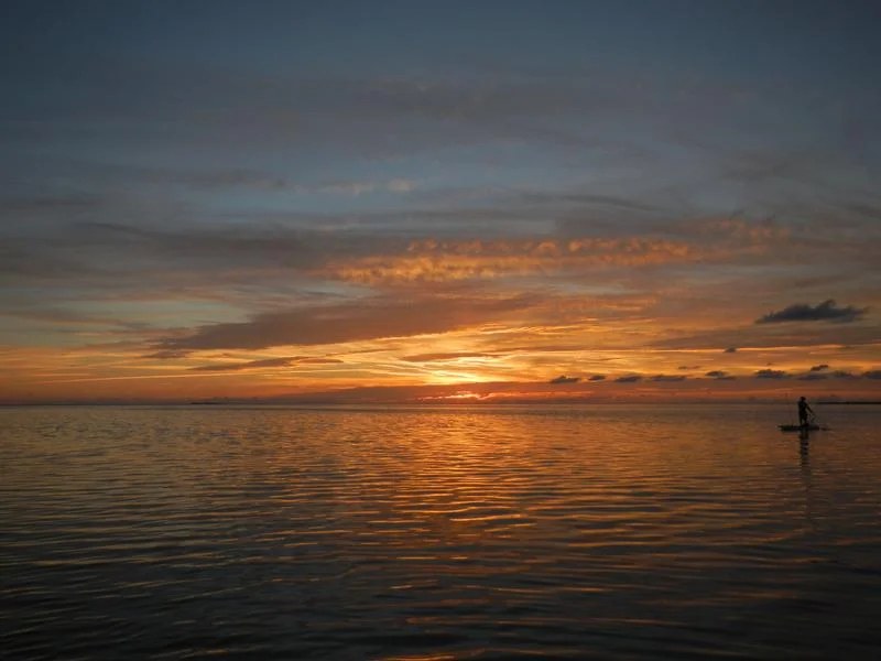 DSCN0811.JPG