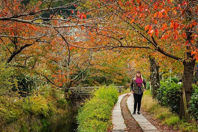 The Philosopher&rsquo;s Path in Kyoto connected a couple of different temples, but the walk itself was the best part.
&bull;
&bull;
&bull;
#japan #kyoto #sonyalpha #sonyimages