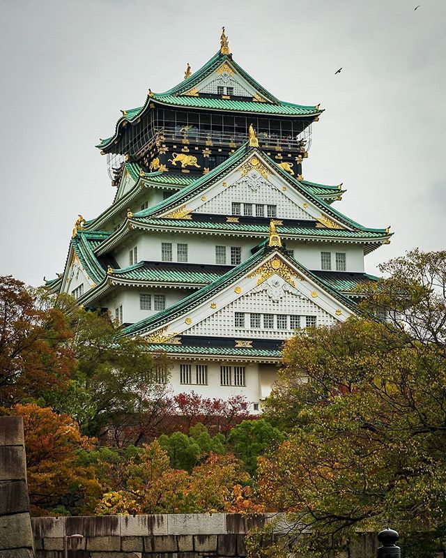 Finally getting back to posting the rest of my Japan photos...here's Osaka Castle and some shots of the deer in Nara.
&bull;
&bull;
&bull;
#japan #osaka&nbsp;#sonyalpha #sonyimages