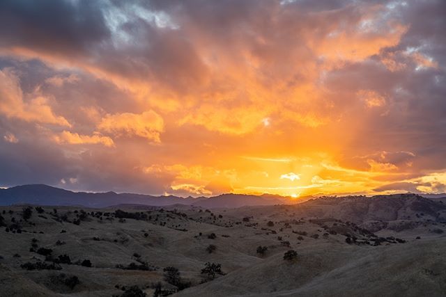 Caught a nice sunset at the open space preserve after the rain a few days ago.