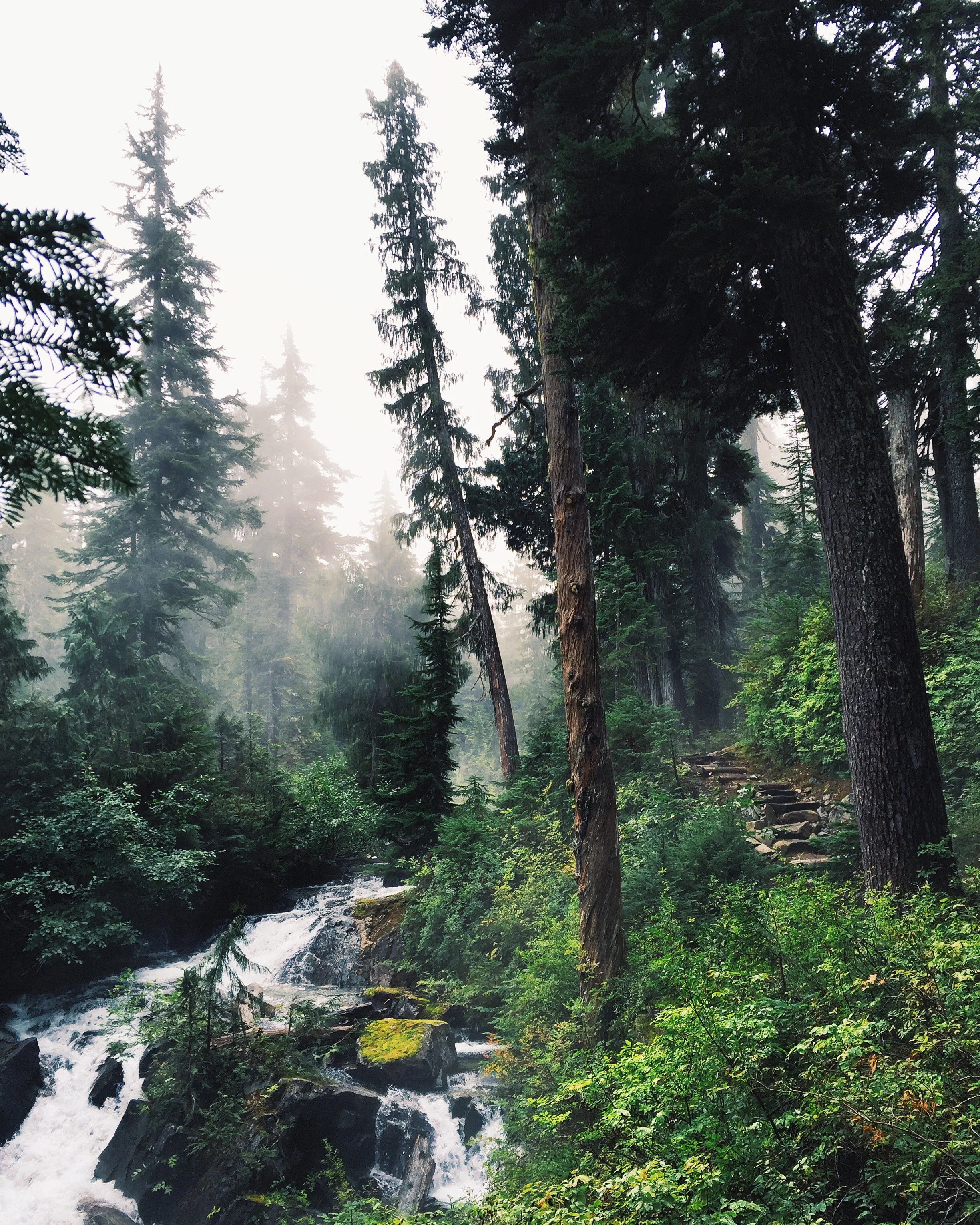 alpine lakes wilderness hike.