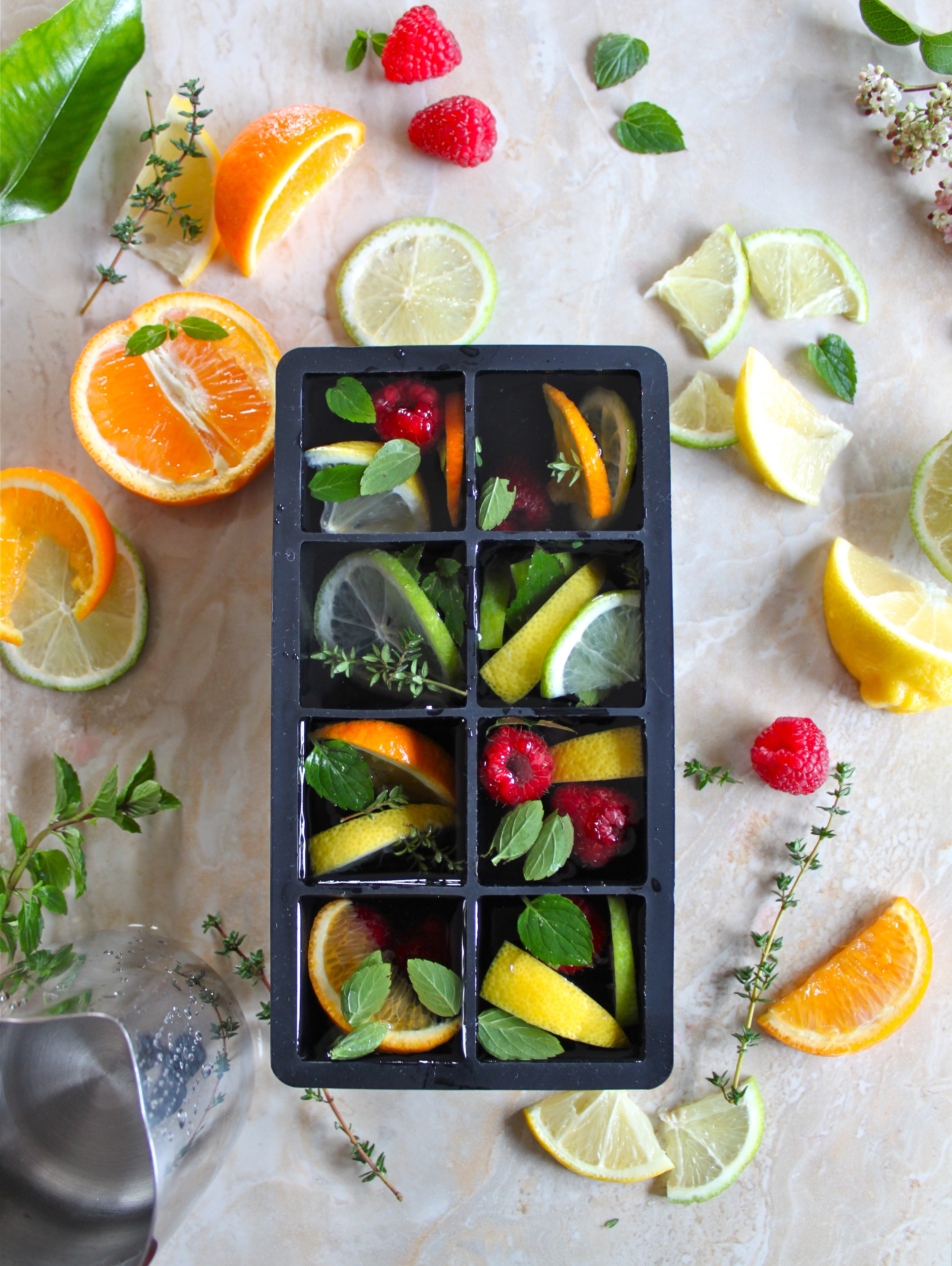 citrus & herb ice cubes_6.jpg
