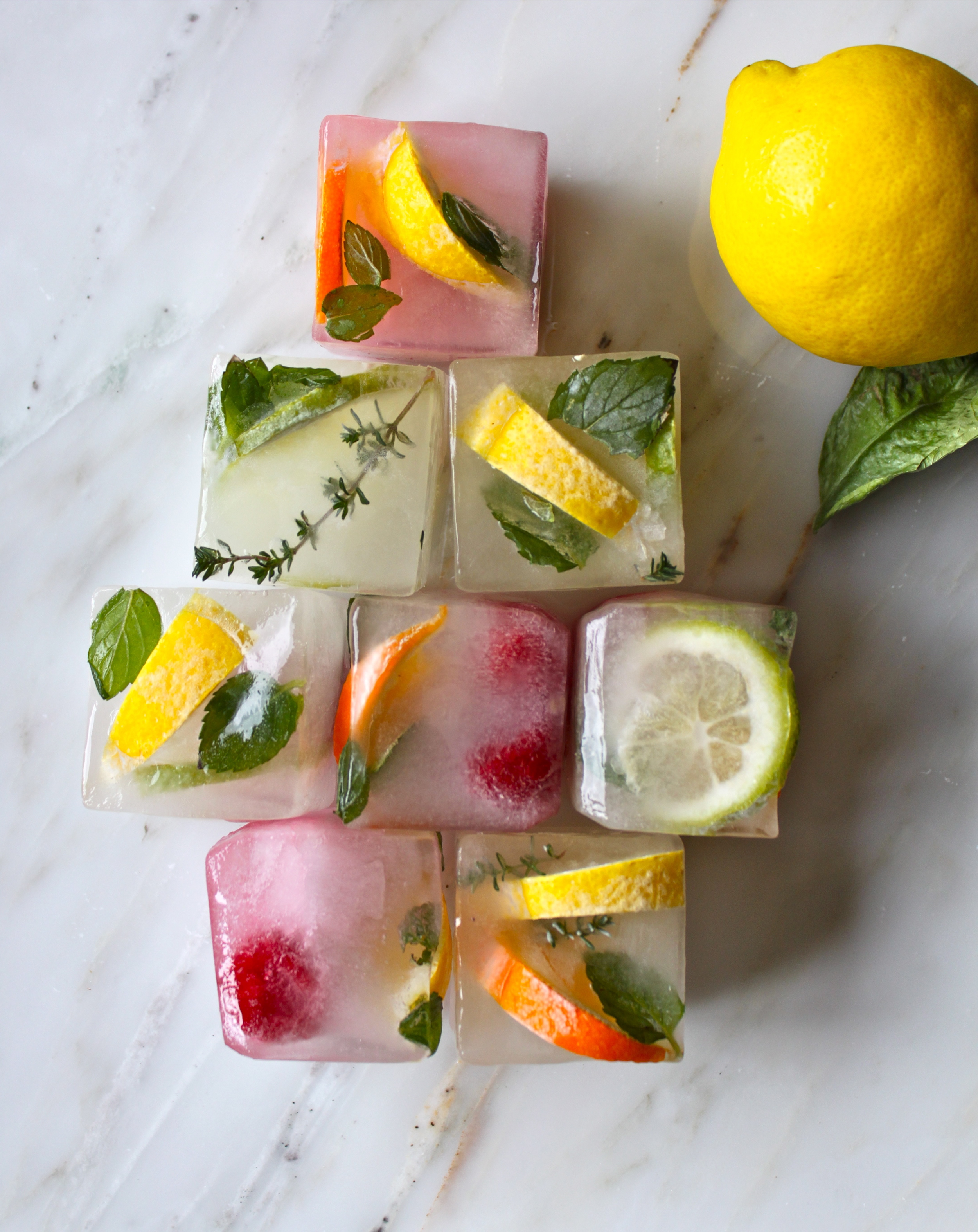 citrus & herb ice cubes_10.jpg