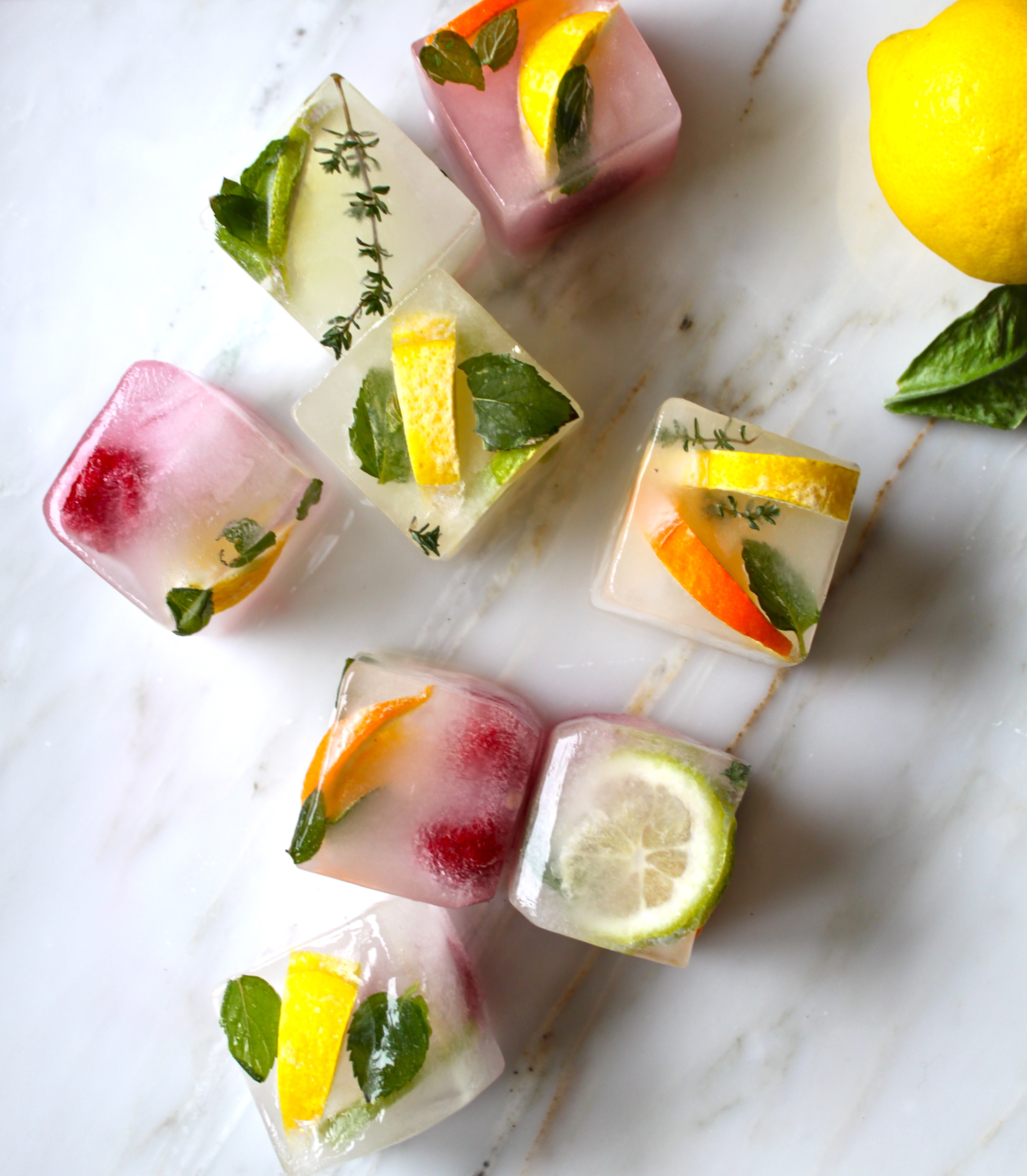 citrus & herb ice cubes_12.jpg