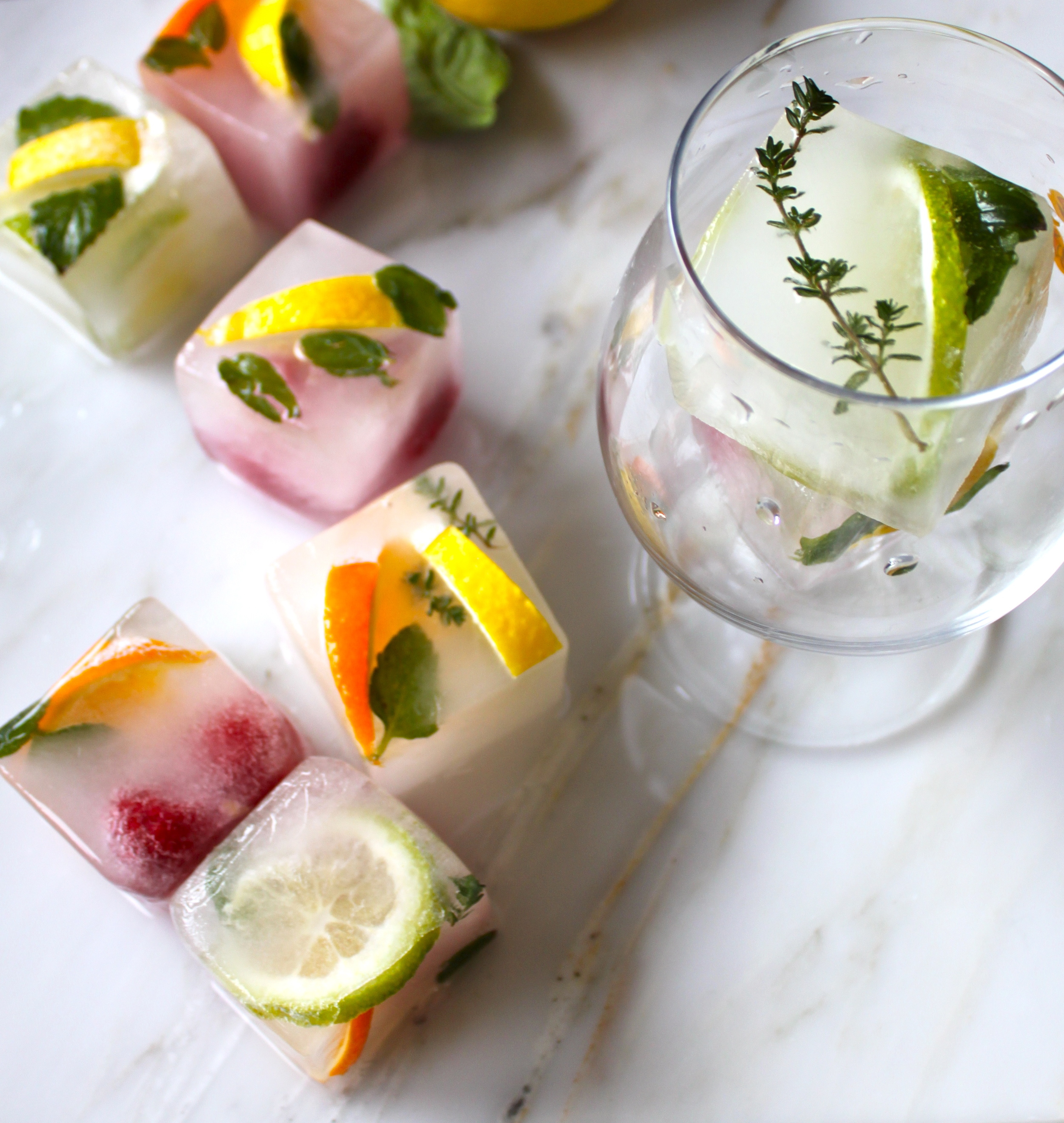 citrus & herb ice cubes_14.jpg