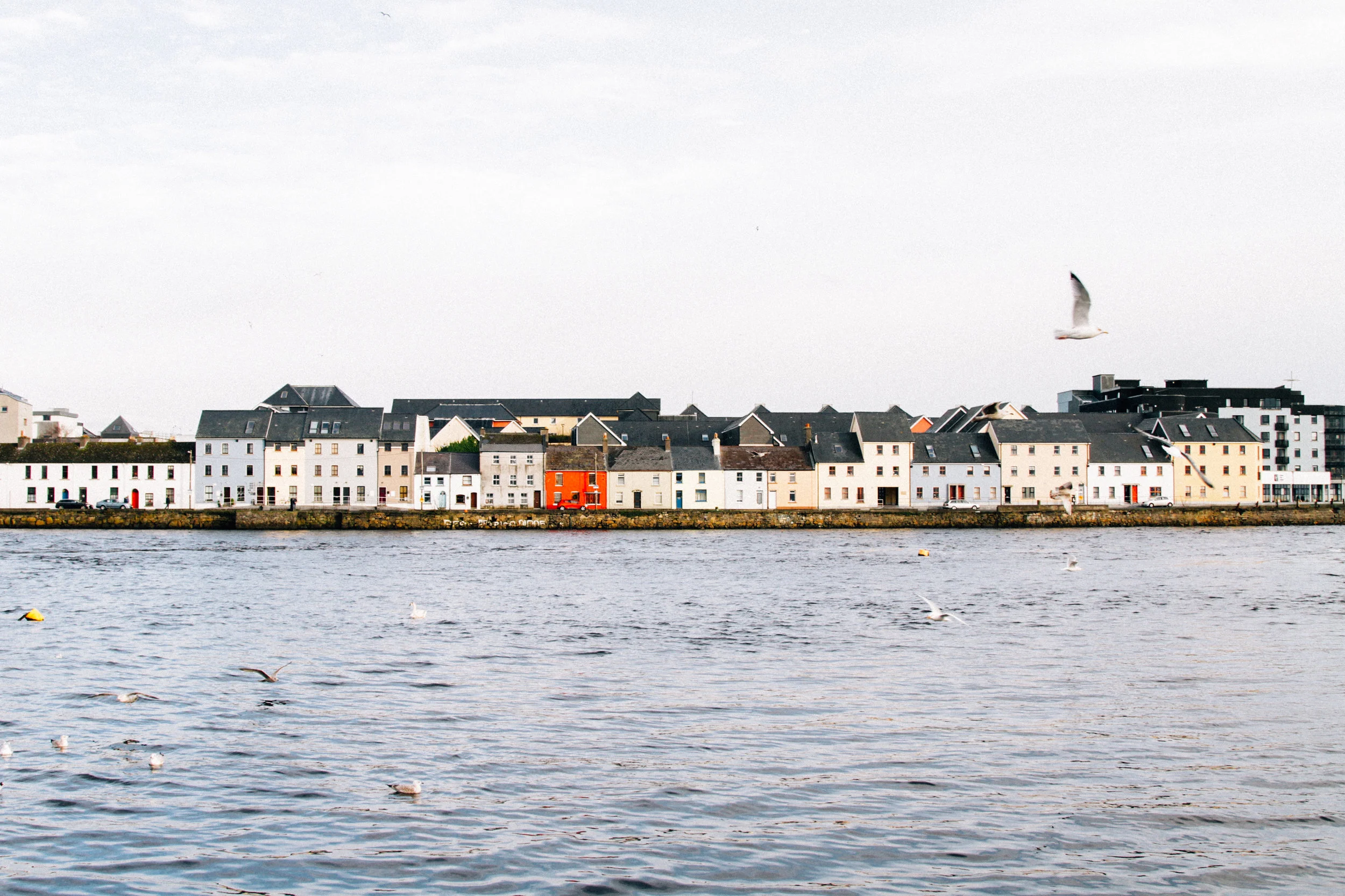 Ireland Christmas_quinnsplace-57.jpg