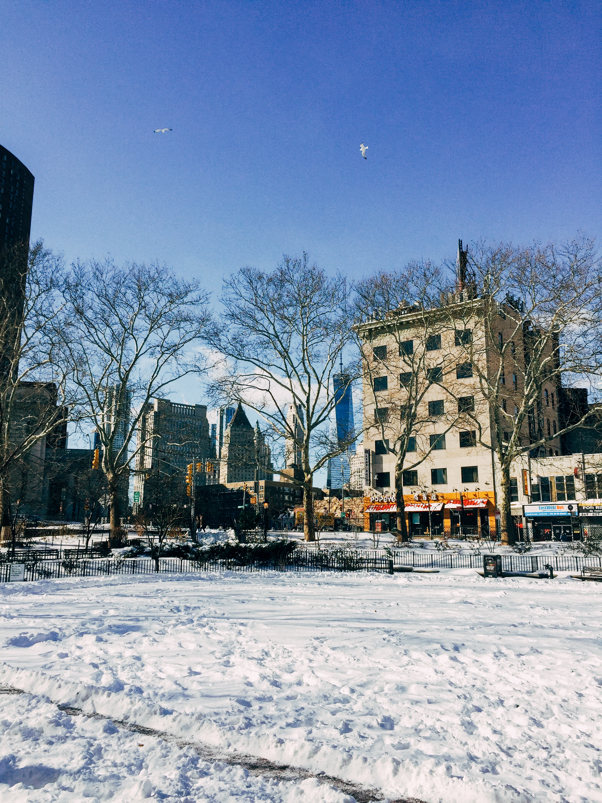 NYC January-QuinnsPlace-38.jpg
