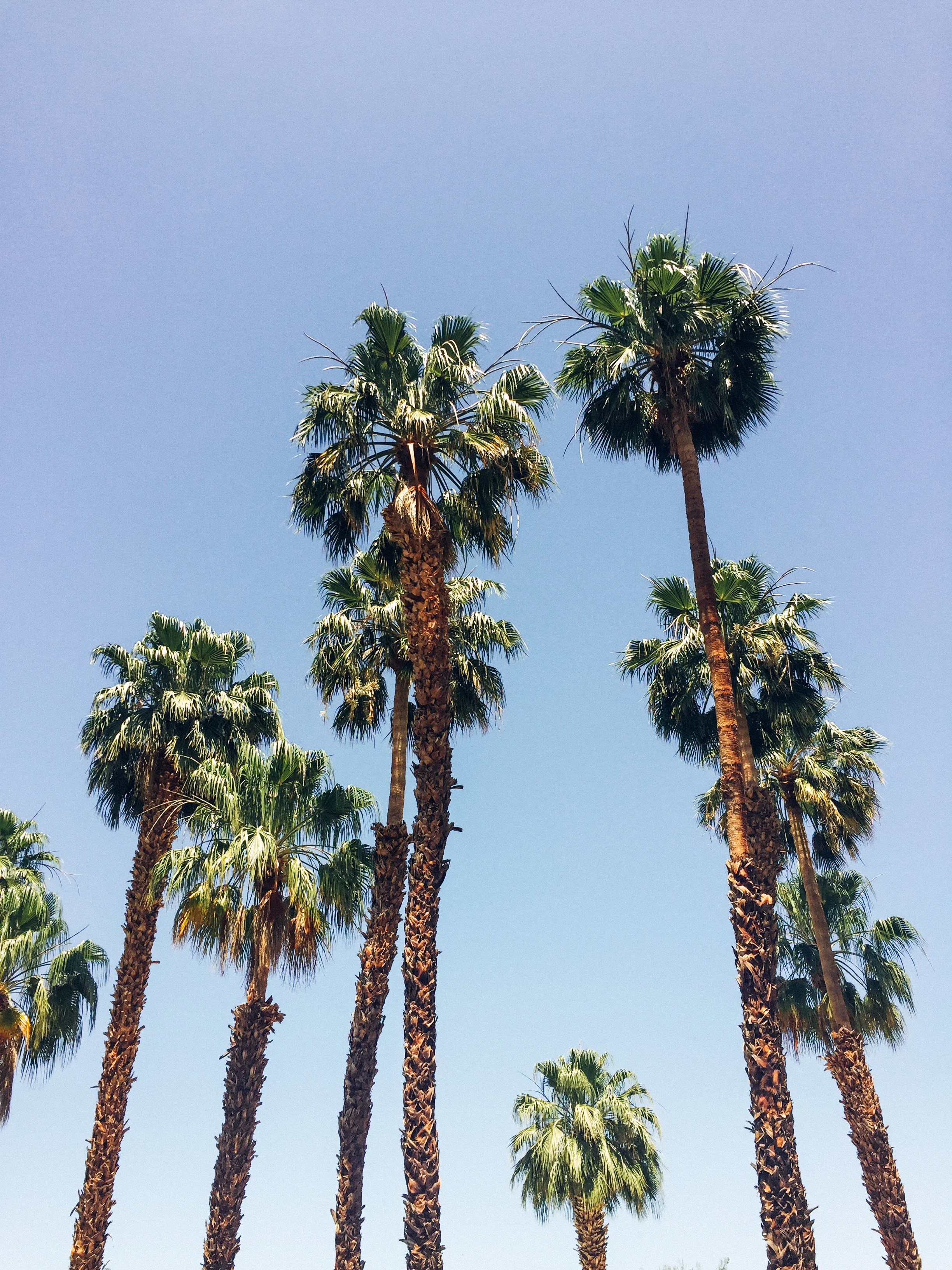 Palm Springs-QuinnsPlace-13.jpg