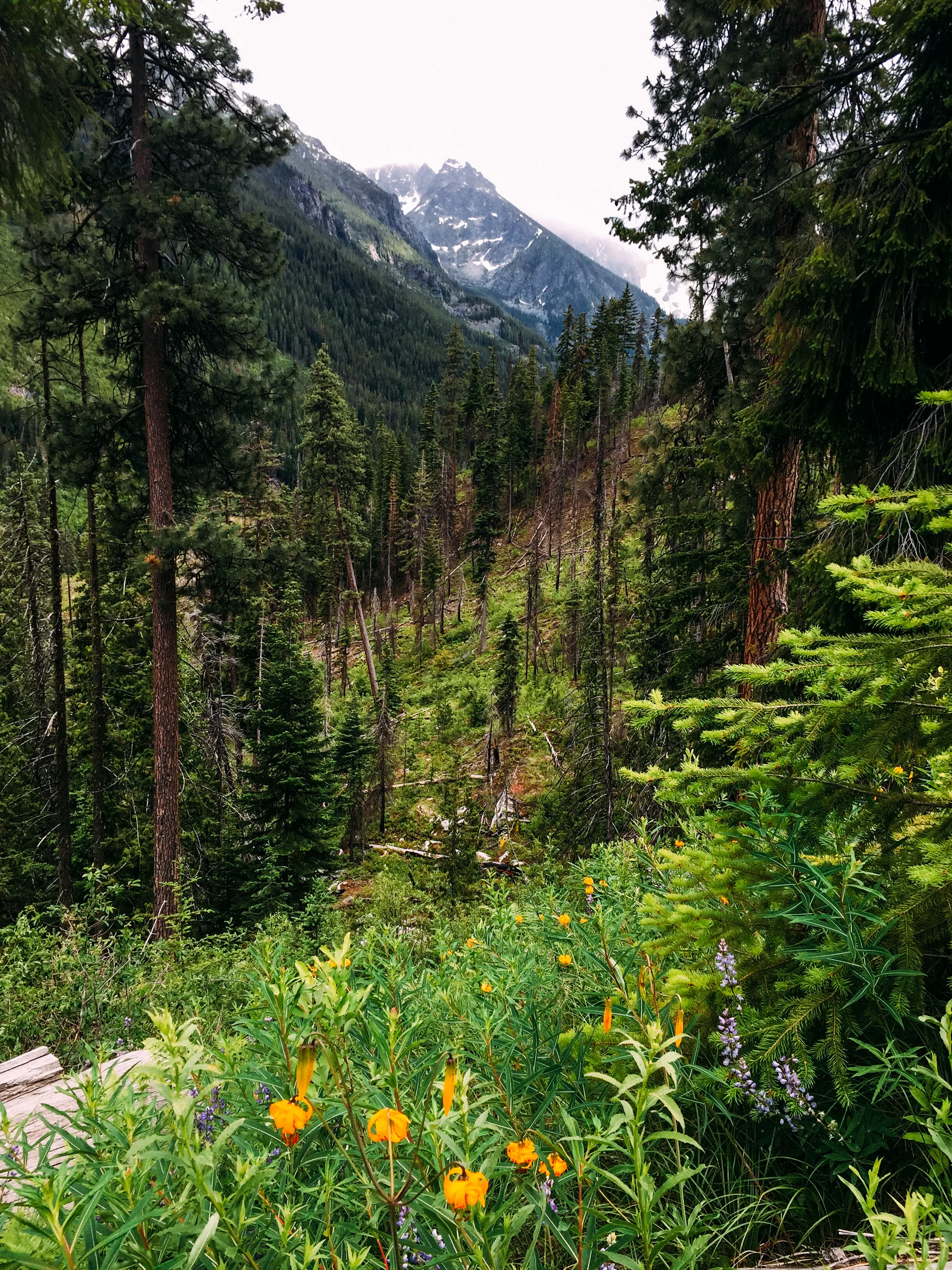 Enchantments 2018_QuinnsPlace-2.jpg