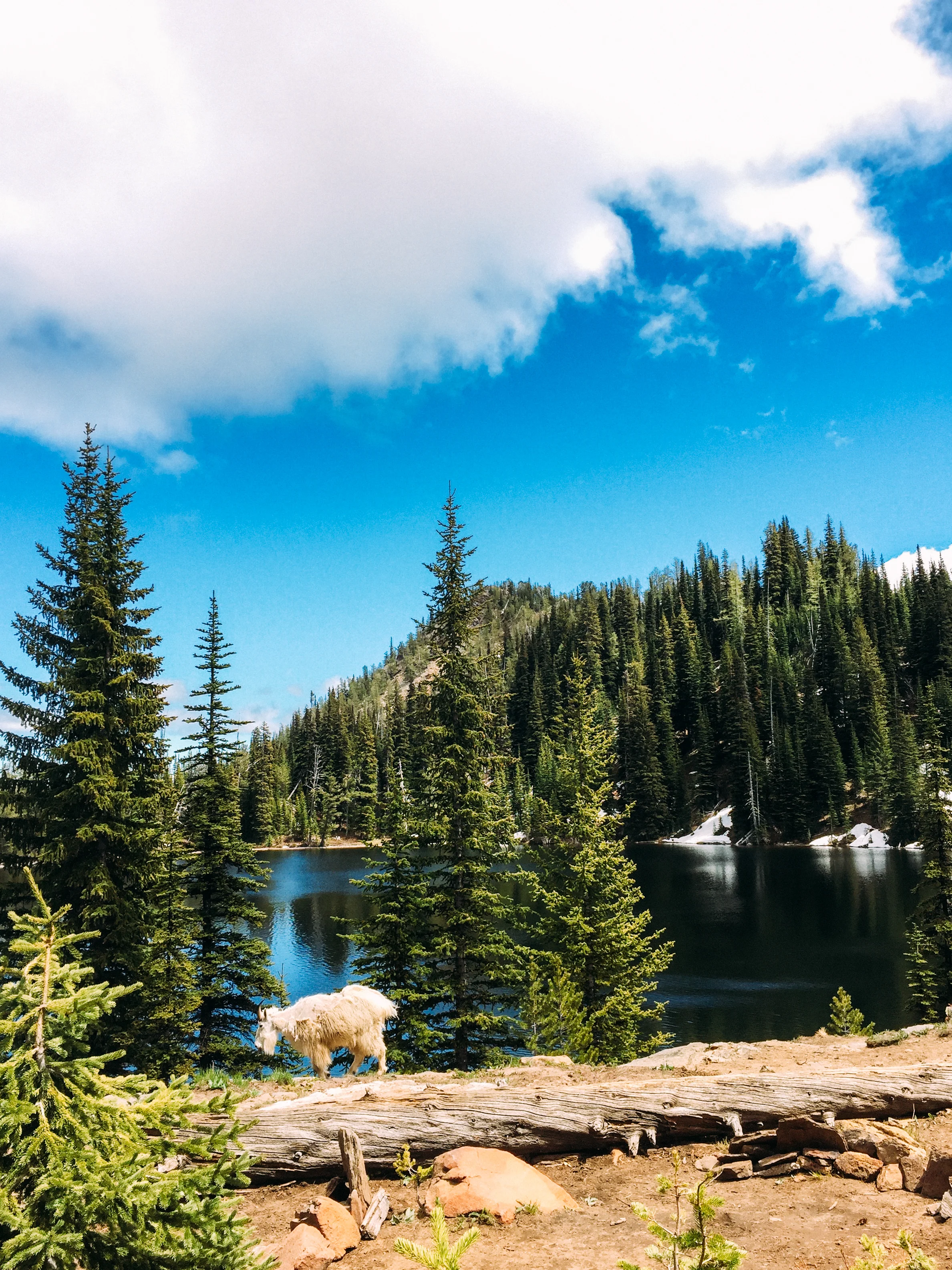 backpacking the enchantments.