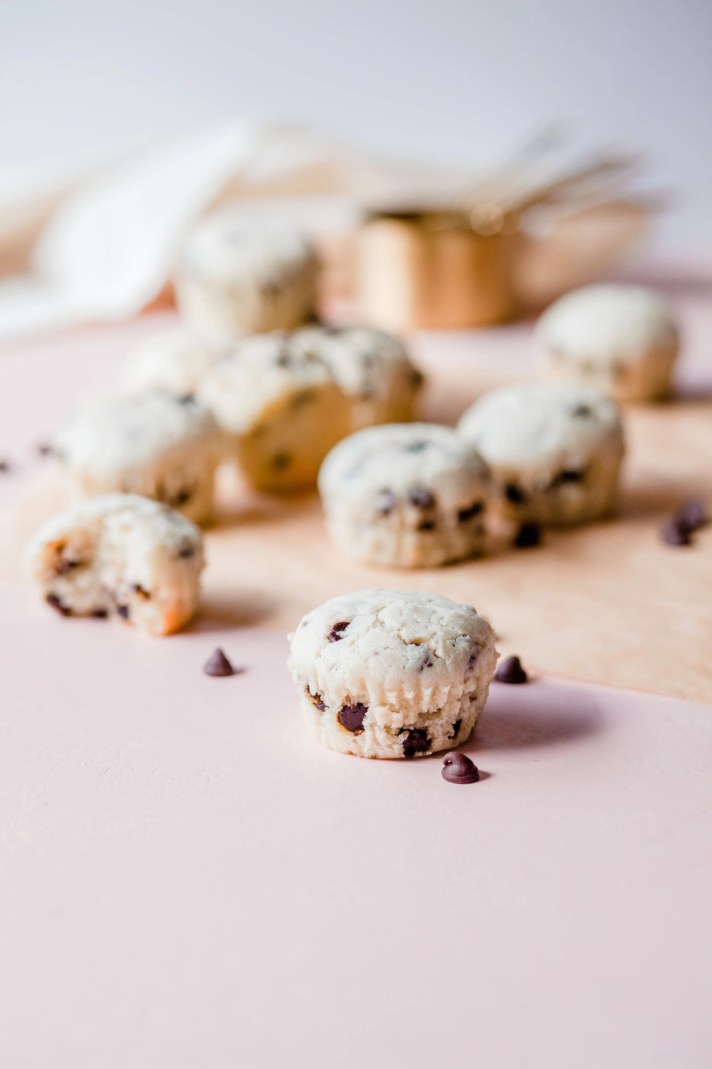 Coconut Milk Chocolate Chip Muffins_QuinnsPlace-12.jpg