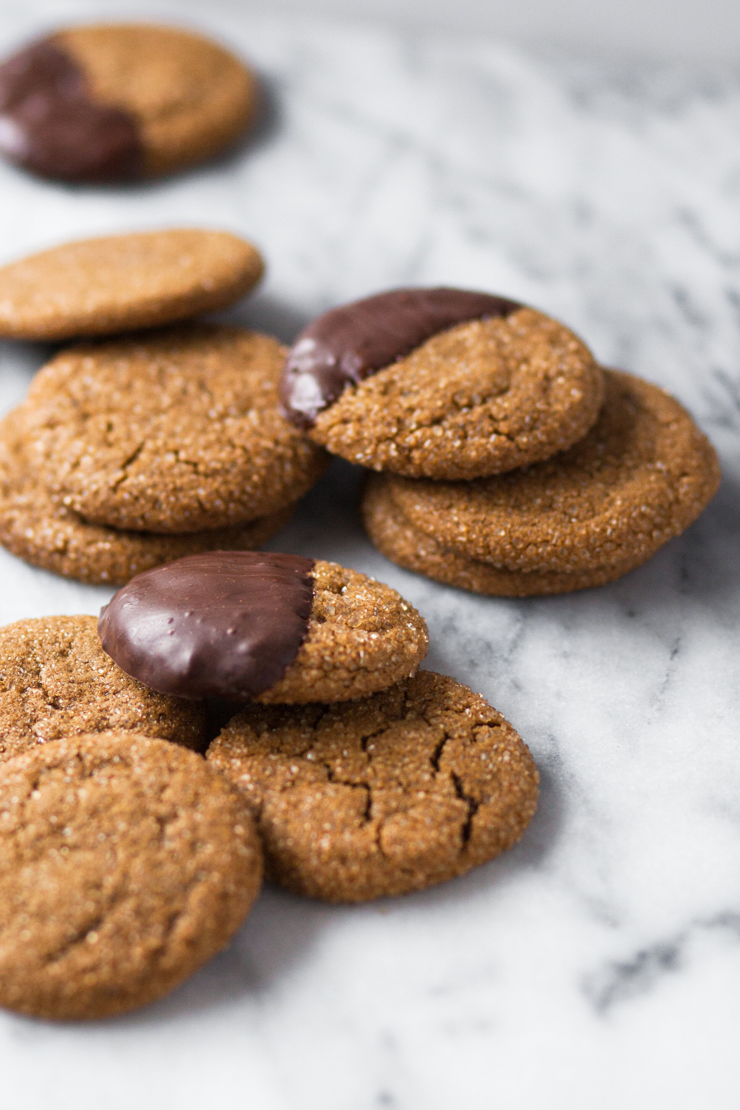 Chewy-Molasses-Cookies-with-Spiced-Chocolate_QuinnsPlace-26.jpg