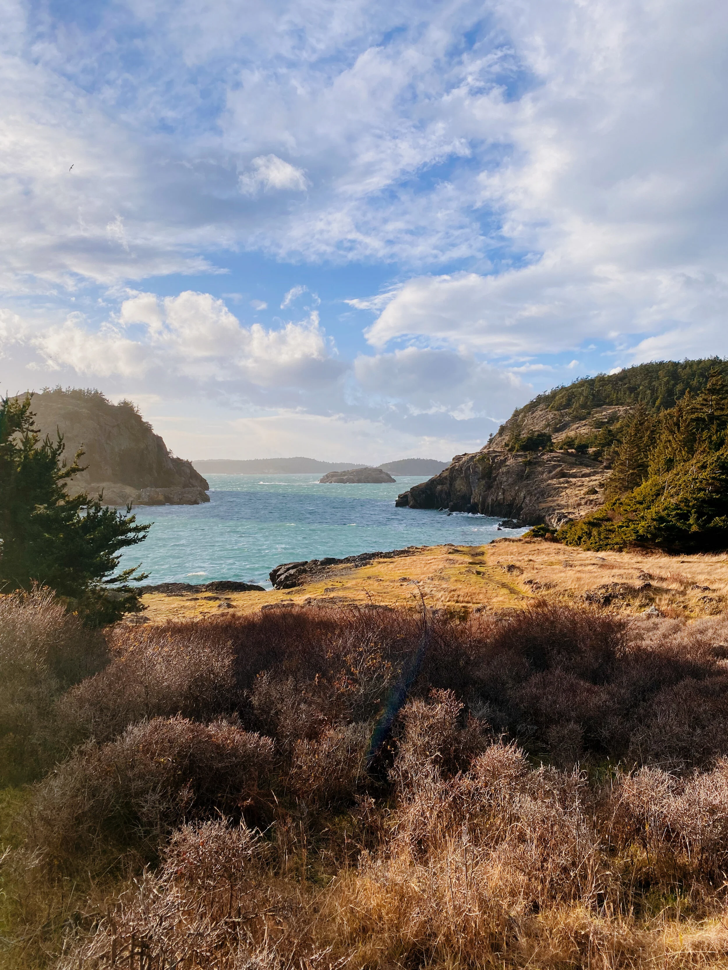 autumn in the northwest.