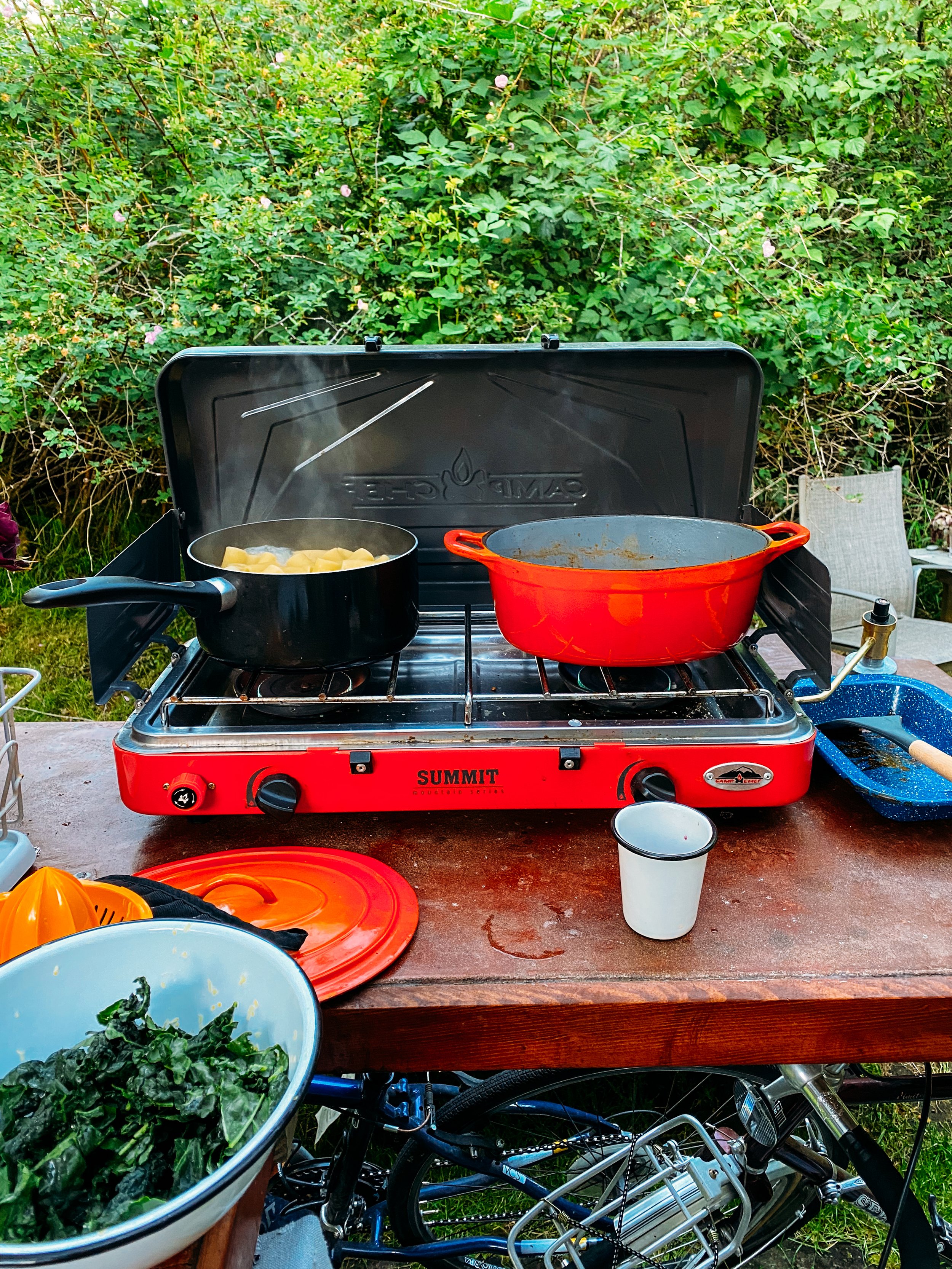 Campstove-Cooking_QuinnsPlace-27.jpg