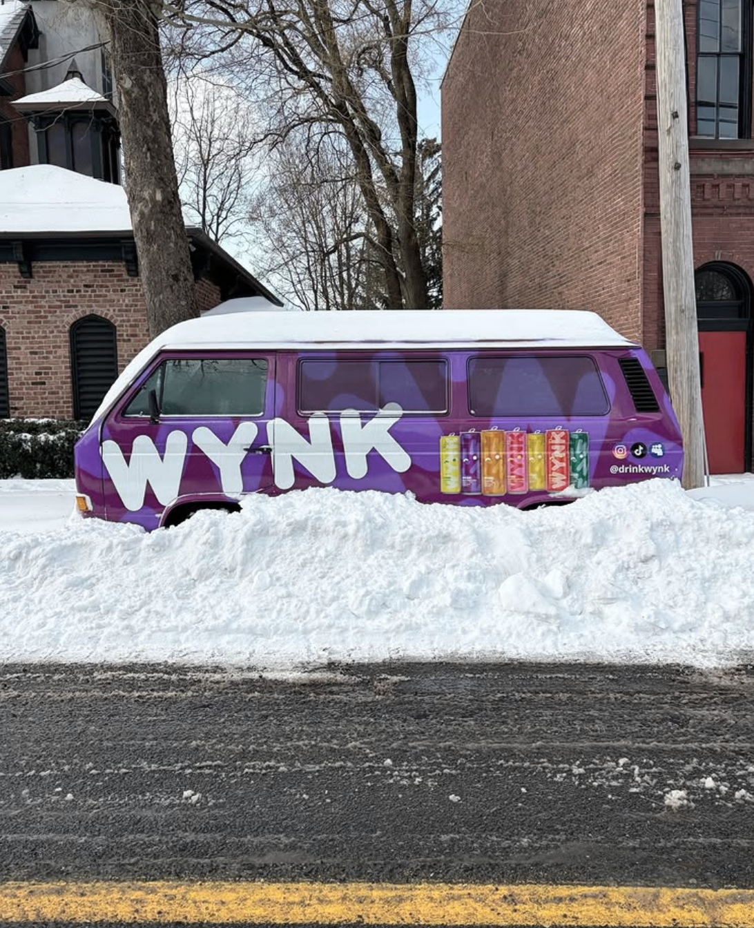 van_snow.png