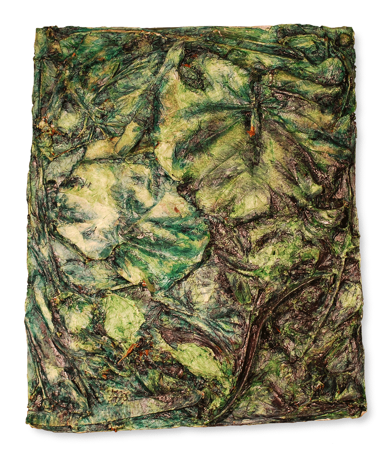 Spiral Plantskin #2