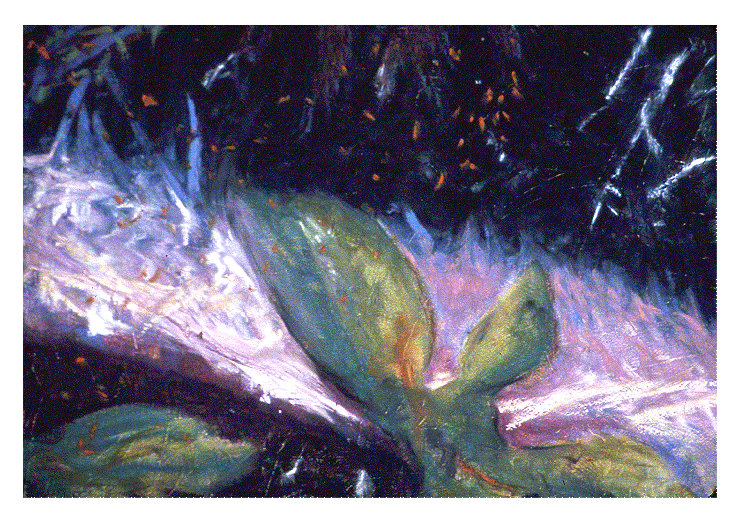 Fern Forest #1, DETAIL